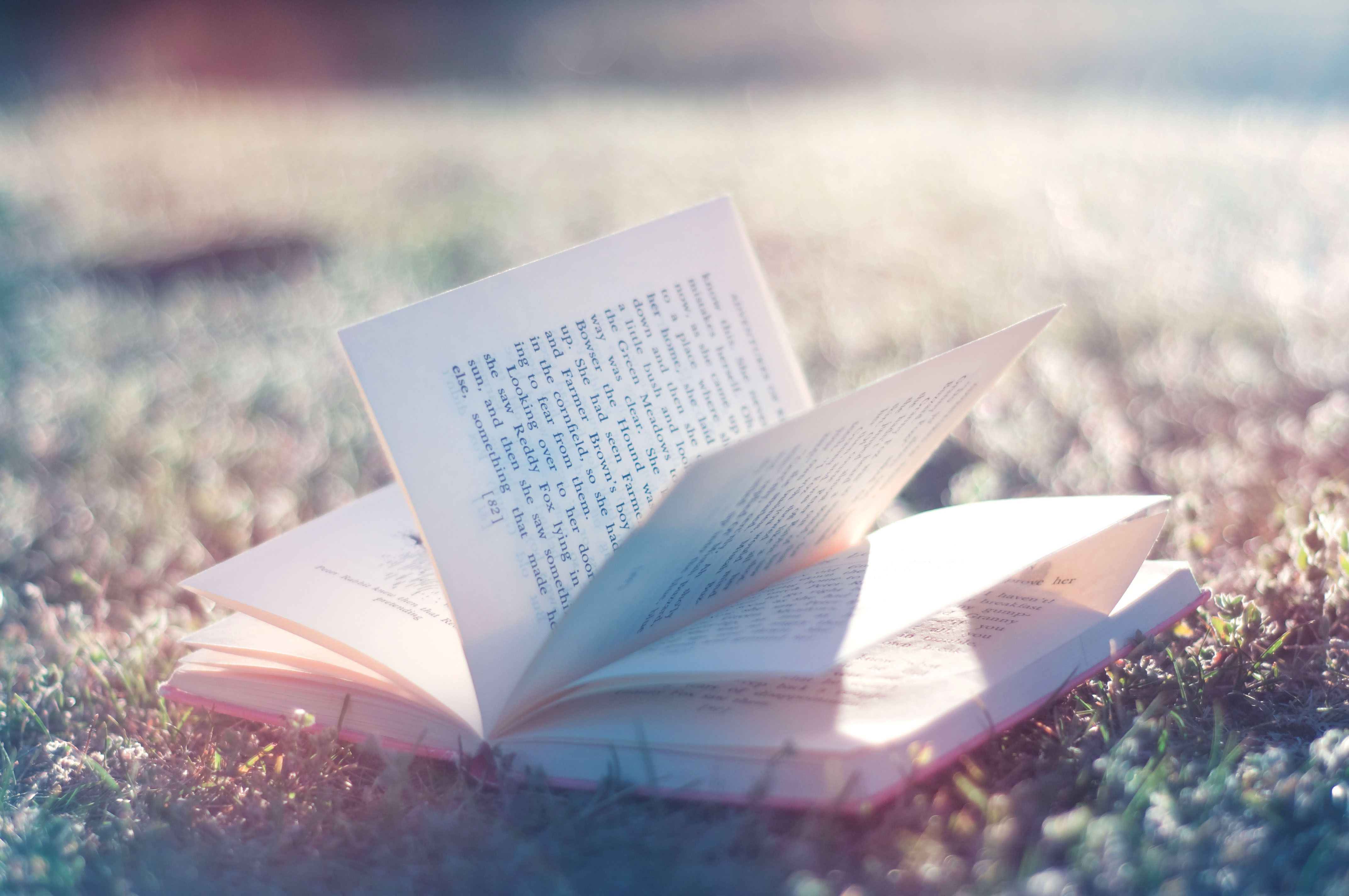 Libro aperto sull'erba, 4288x2848 4K Ultra HD, Monitor 4K