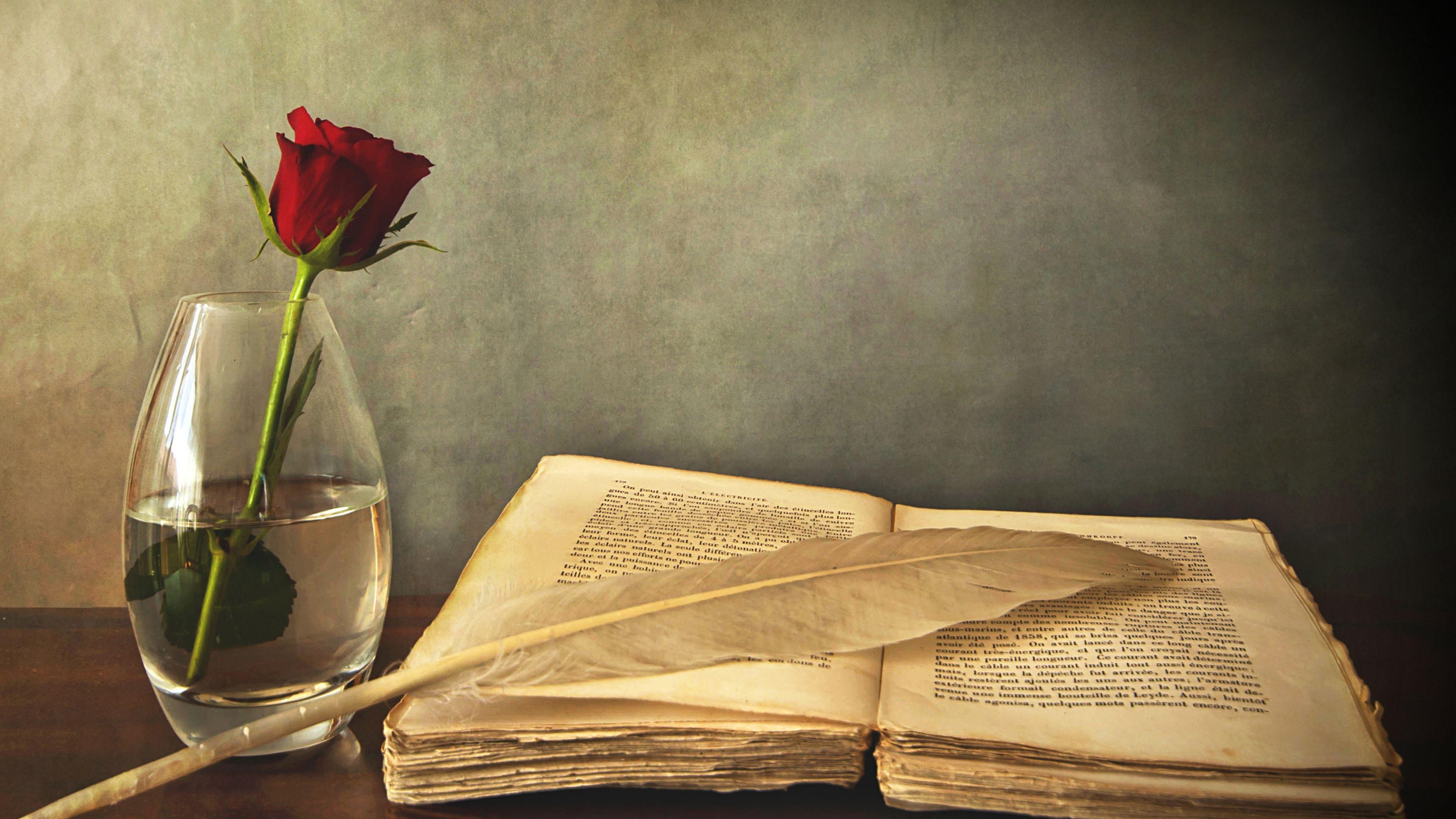 Libro aperto con rosa rossa, 3840x2160 Ultra HD, 4K TV