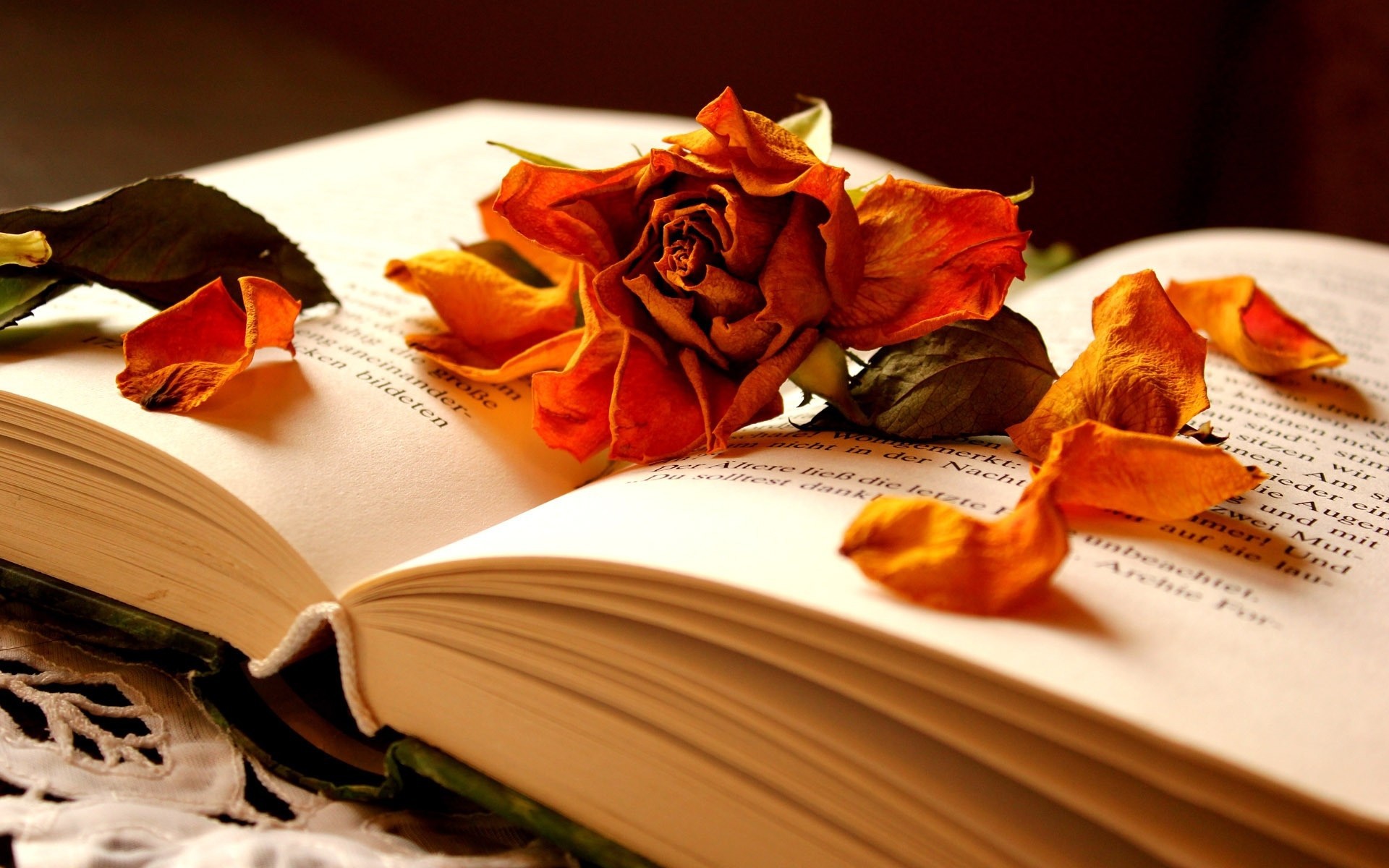 Libro aperto con rosa arancione, 1920x1200 WUXGA, Desktop