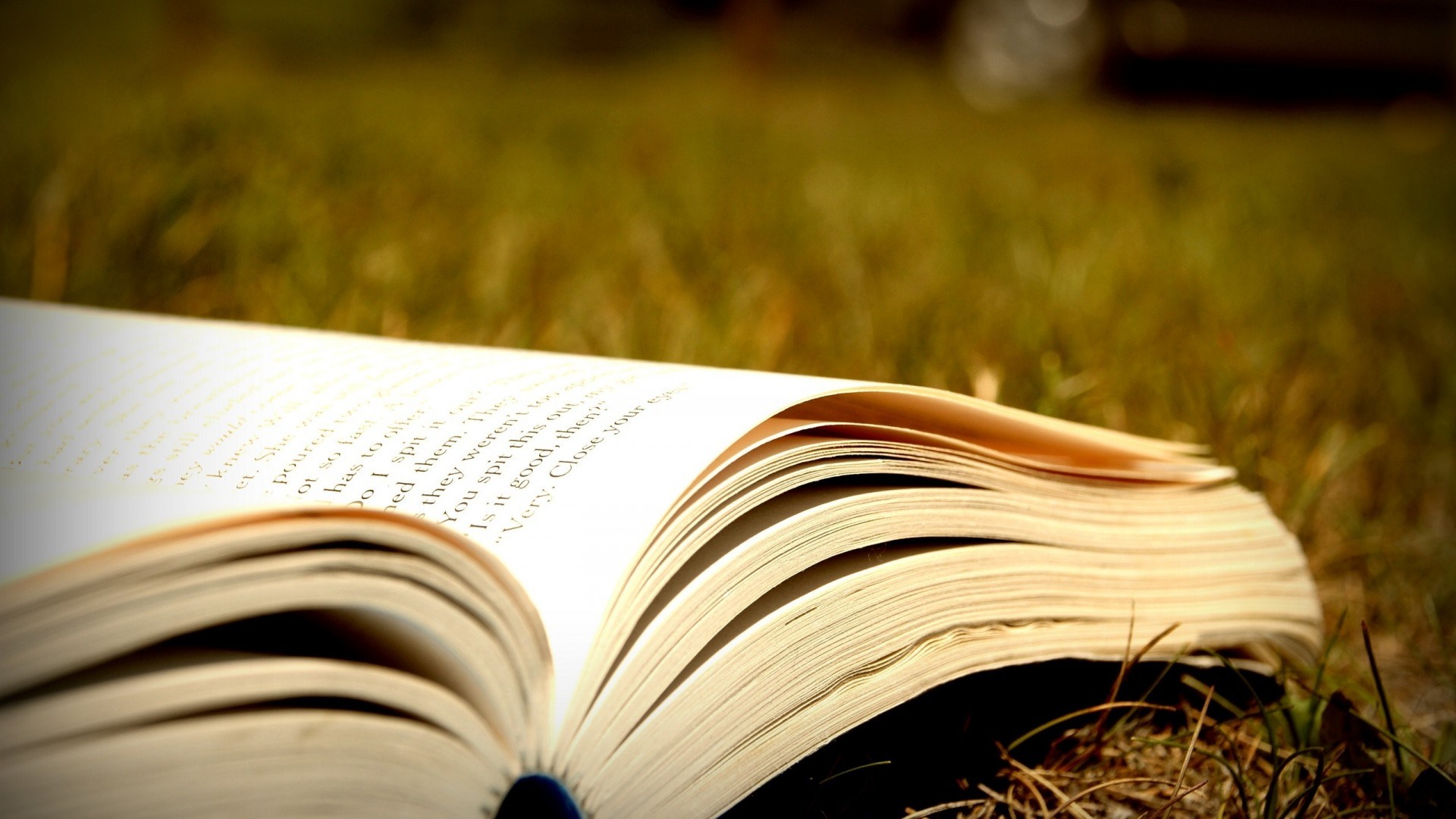 Dorsi di libri antichi colorati, 2560x1600 WQXGA, PC