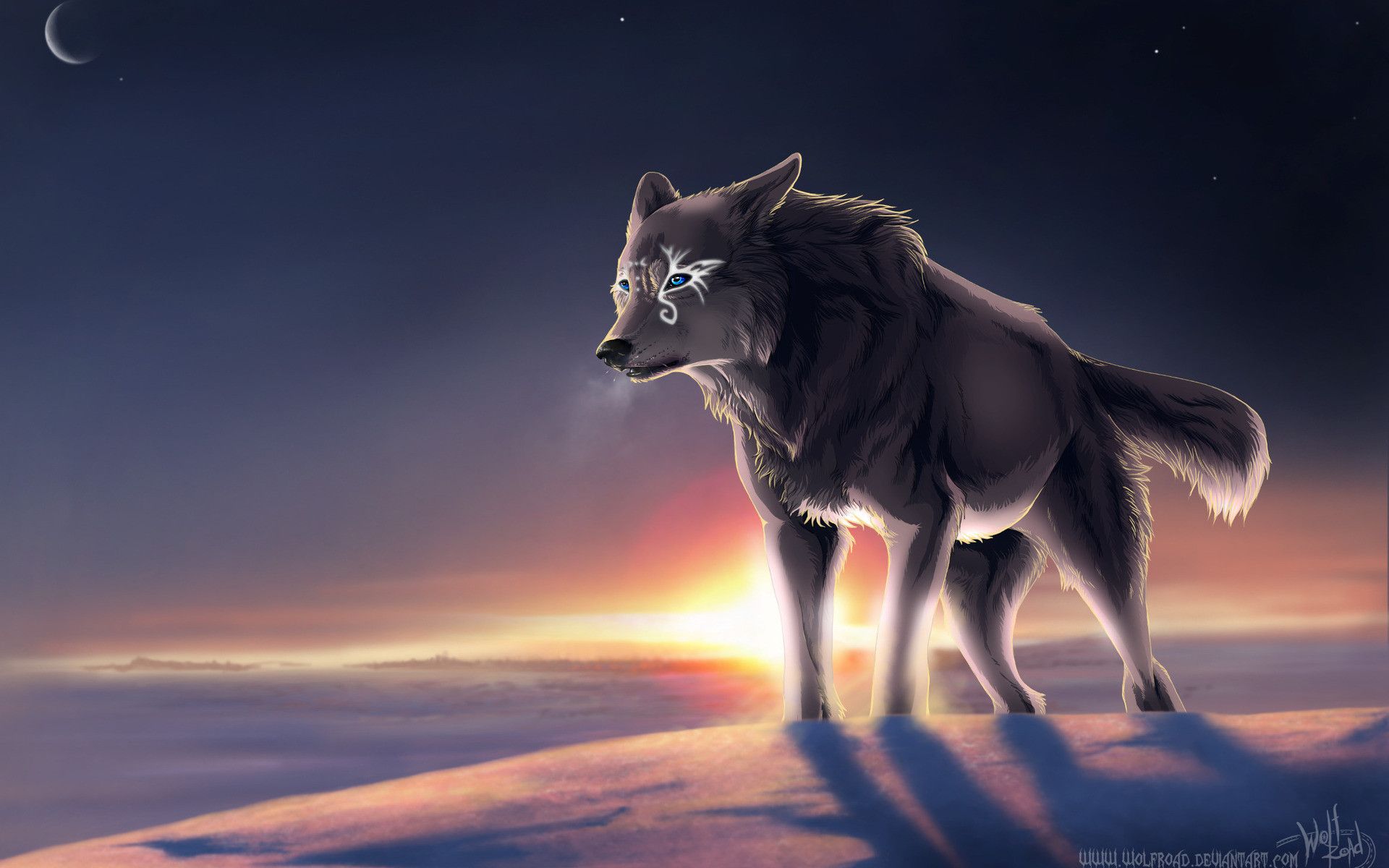 Lupo nero anime al tramonto, 1920x1200 Full HD+ WUXGA, Laptop
