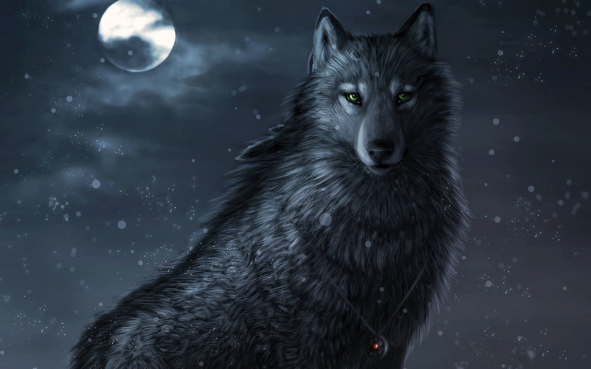 Lupo nero sotto la luna, 1920x1200 WUXGA, Desktop