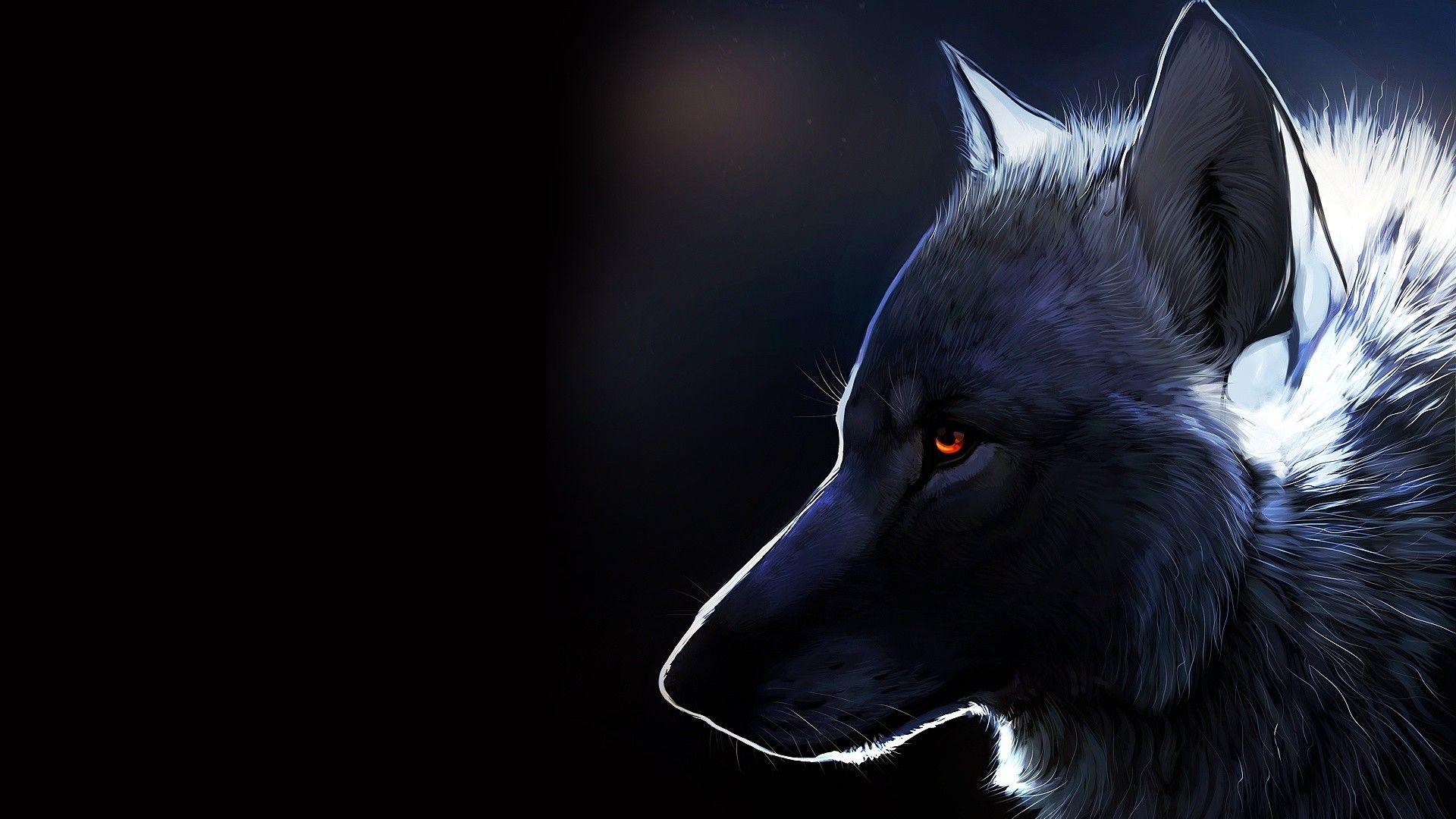 lupo nero profilo scuro, 1920x1080 Full HD, PC