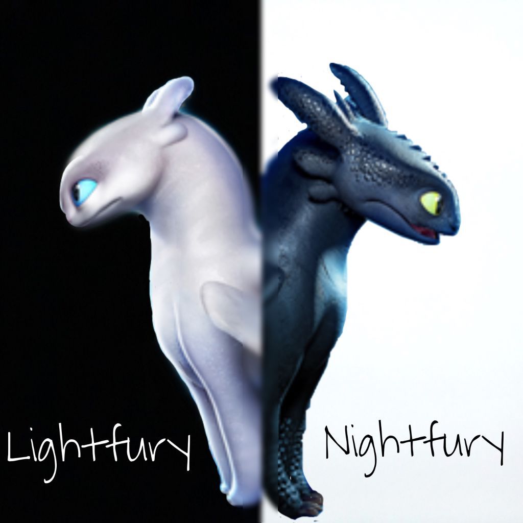 Lightfury e Nightfury draghi, 1024x1024 HD, Laptop