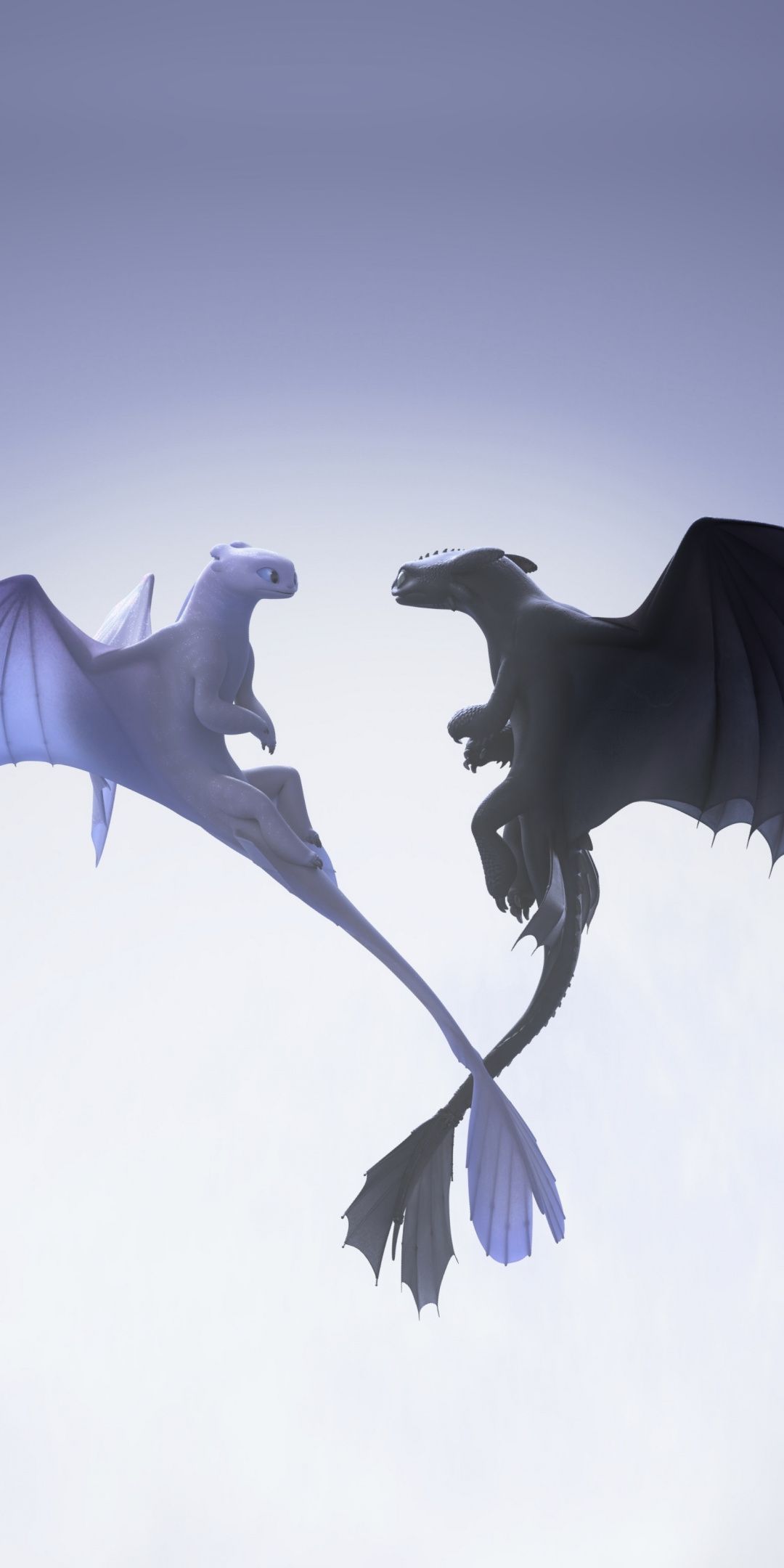Sdentato e Furia Bianca draghi, 1080x2160 Verticale, Mobile