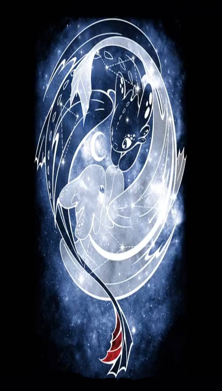 Light Fury e Sdentato, Dragon Trainer, 728x1280 Full HD Verticale, Smartphone