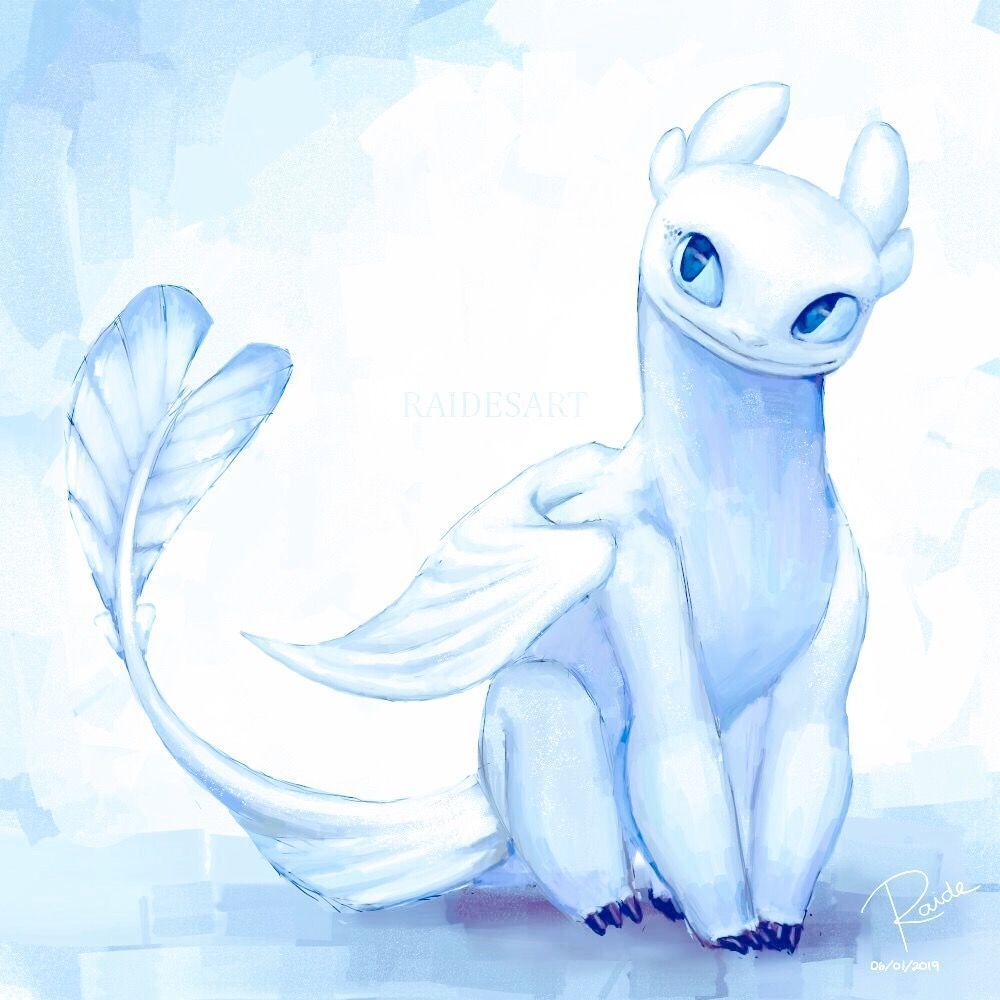 Light Fury drago bianco, Sdentato, 1000x1000 HD, PC