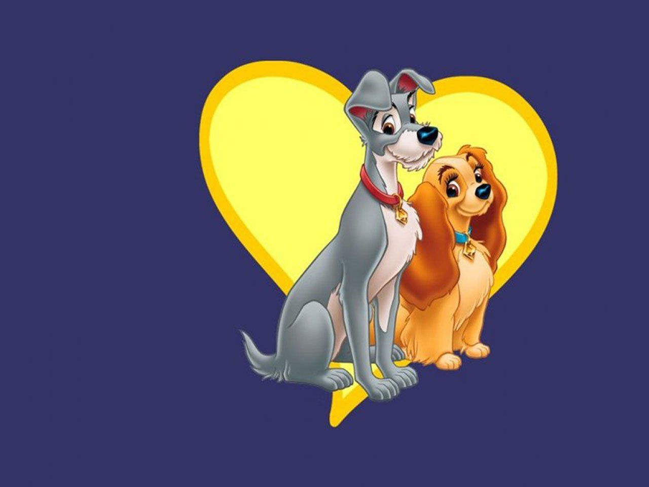 Lilli e il Vagabondo cuore giallo, 1280x960 720p, Laptop
