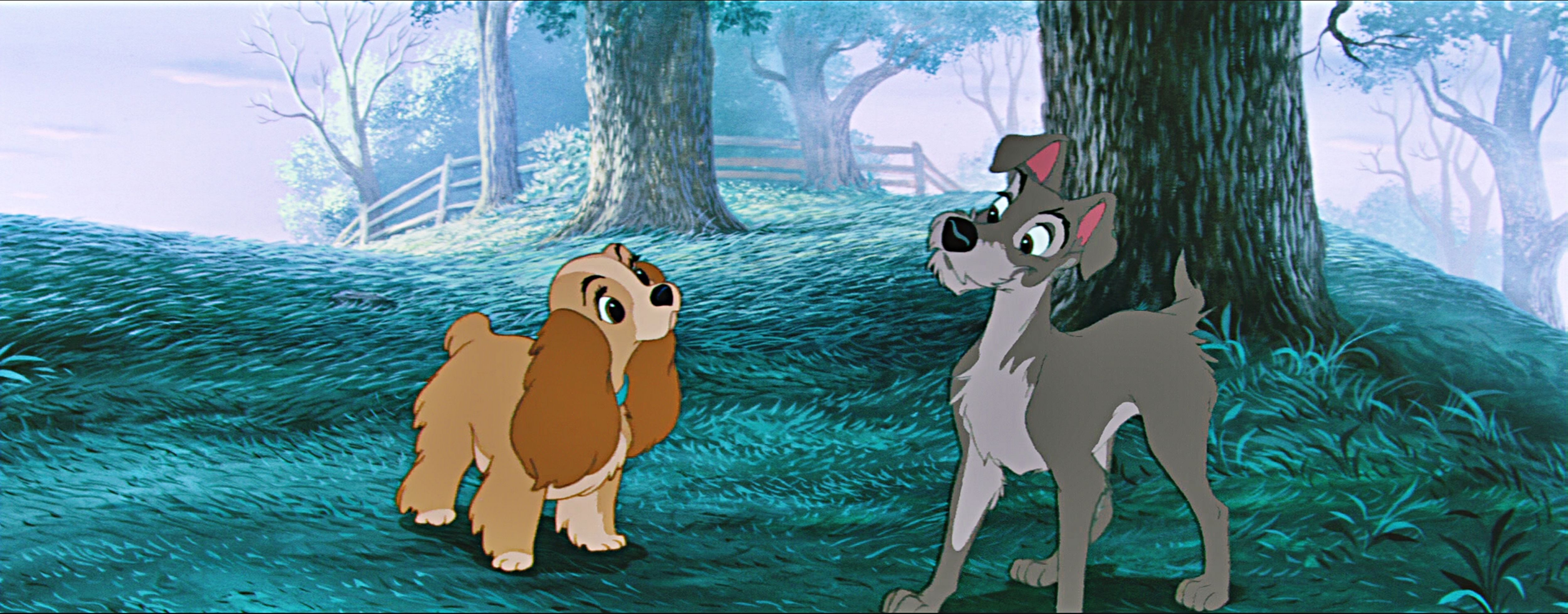 Lilli e il Vagabondo nel bosco, 5000x1958 Ultrawide, Dual Monitor