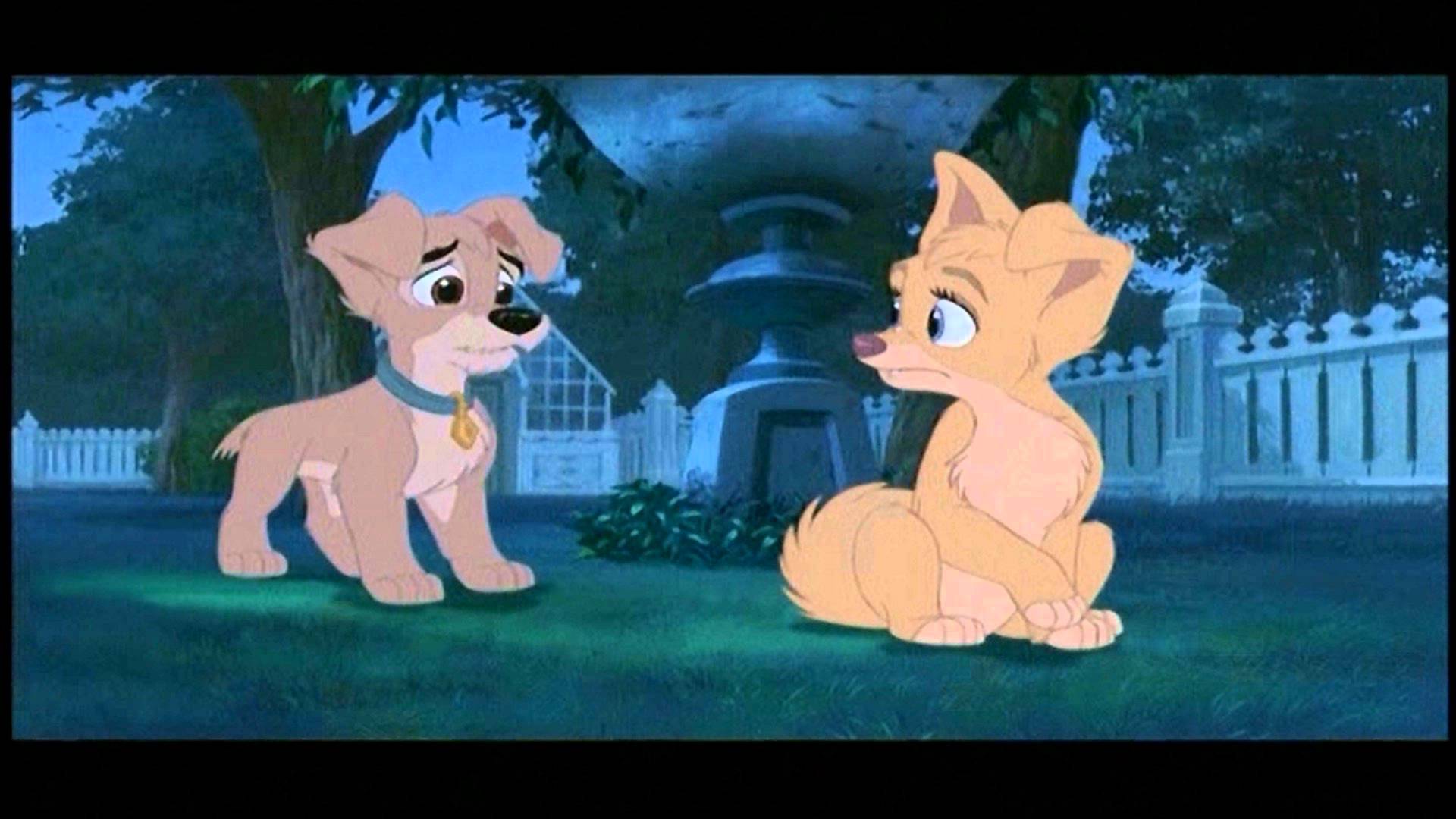 Lilli e il Vagabondo cuccioli, 1920x1080 Full HD, PC Desktop