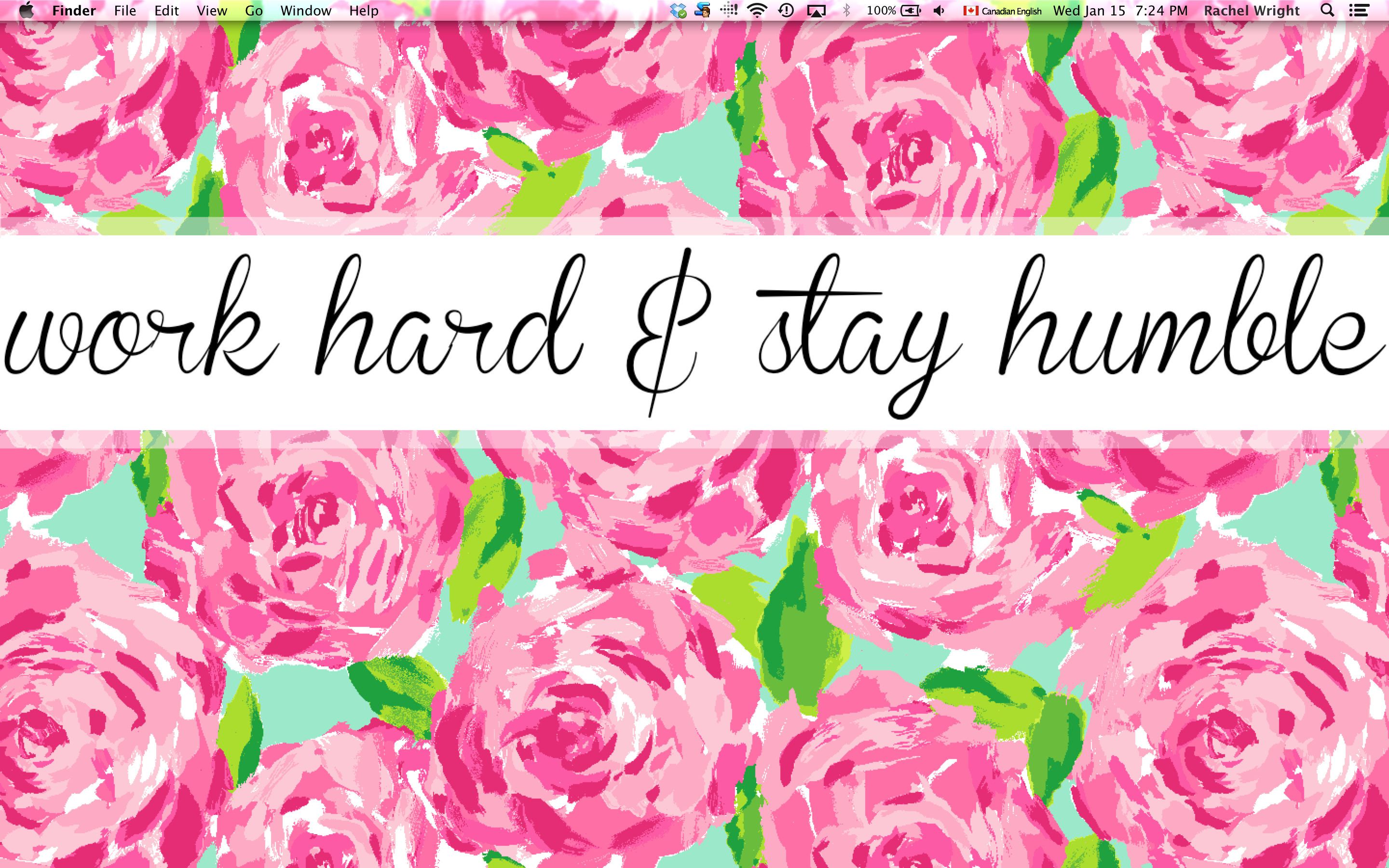 Rose rosa pattern floreale, 2880x1800 2K+, PC