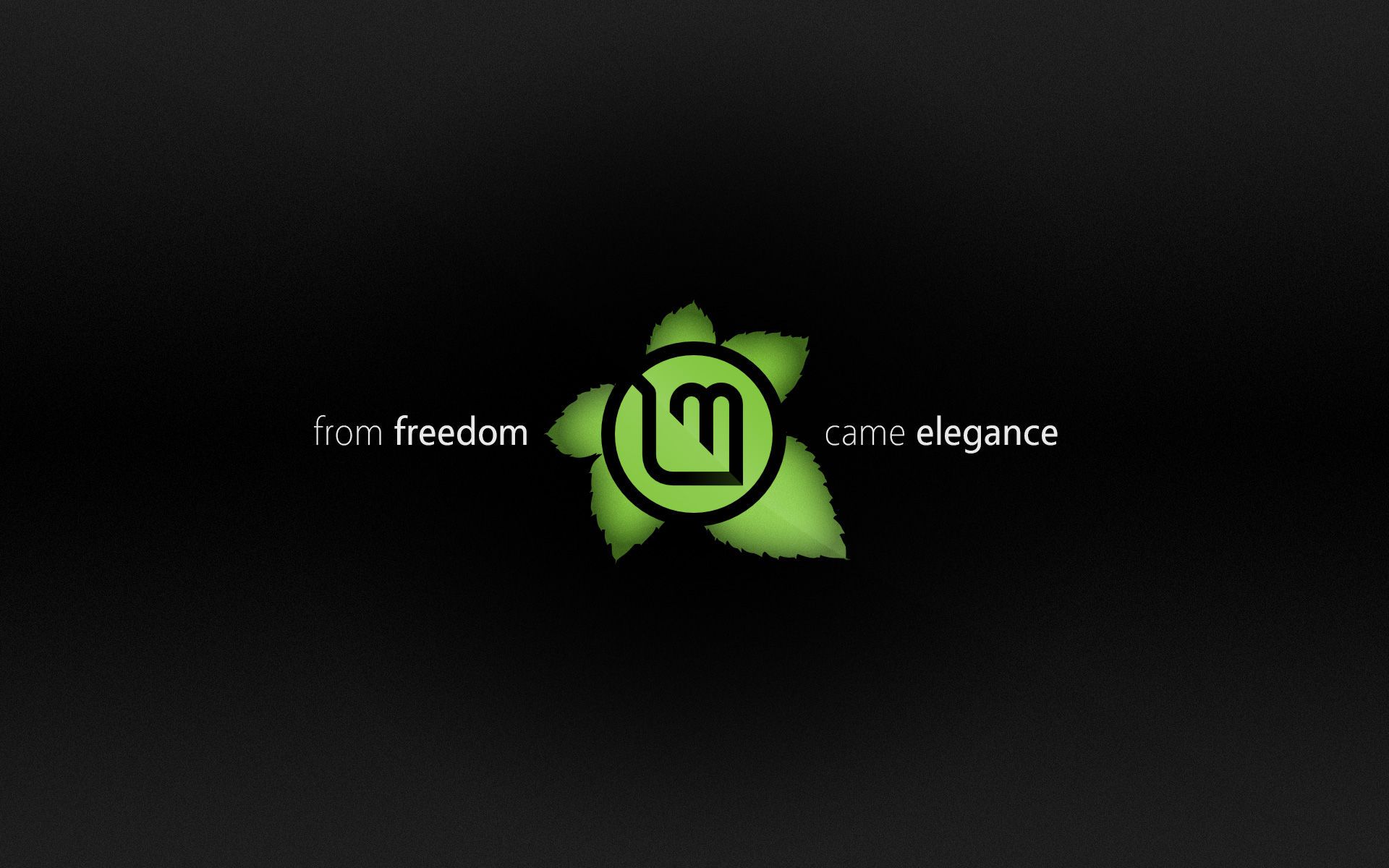 Logo Linux Mint verde scuro, distribuzione Linux, 1920x1200 WUXGA, Desktop