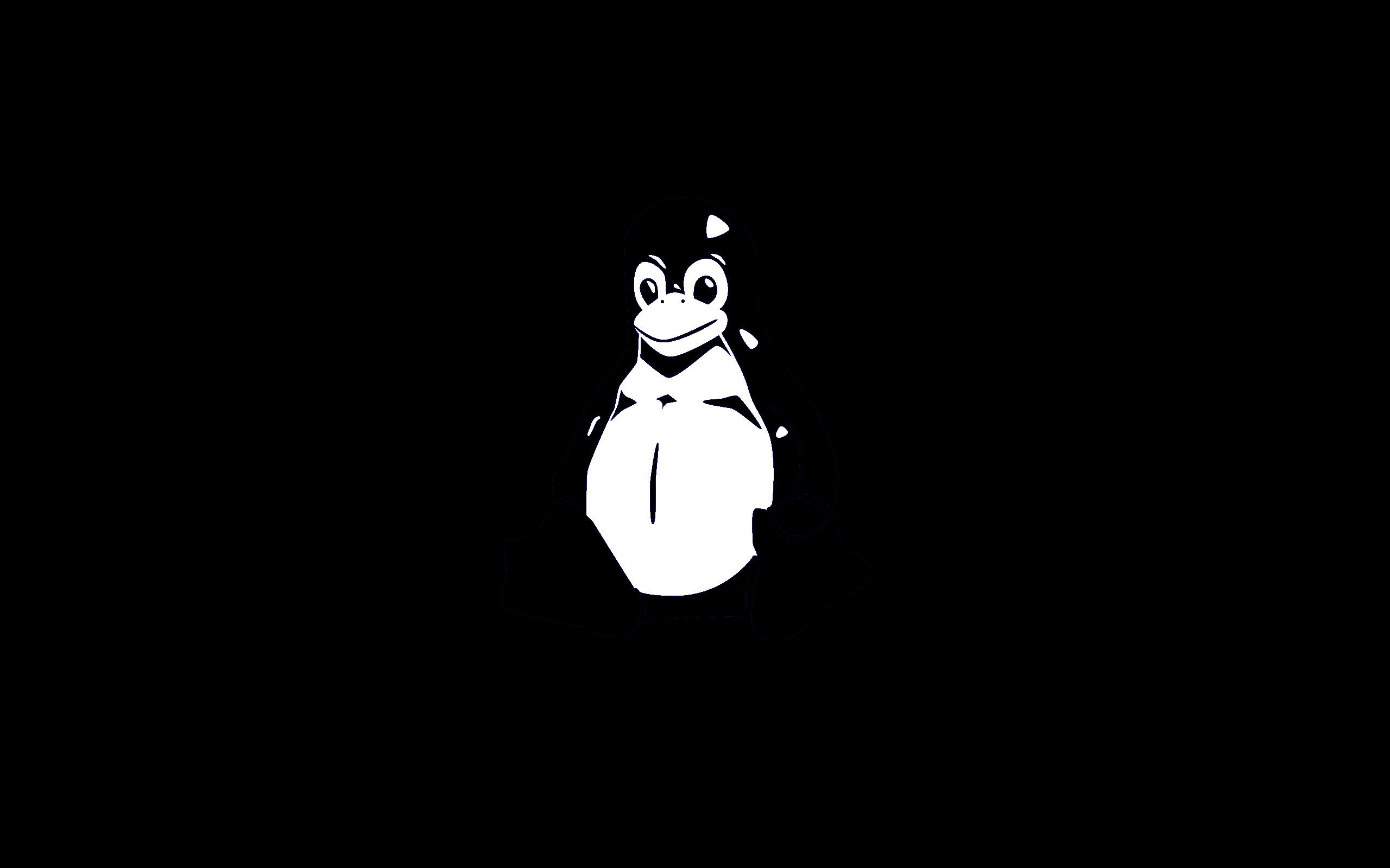 Logo Linux Mint pinguino bianco, 2560x1600 2K, MacBook Pro