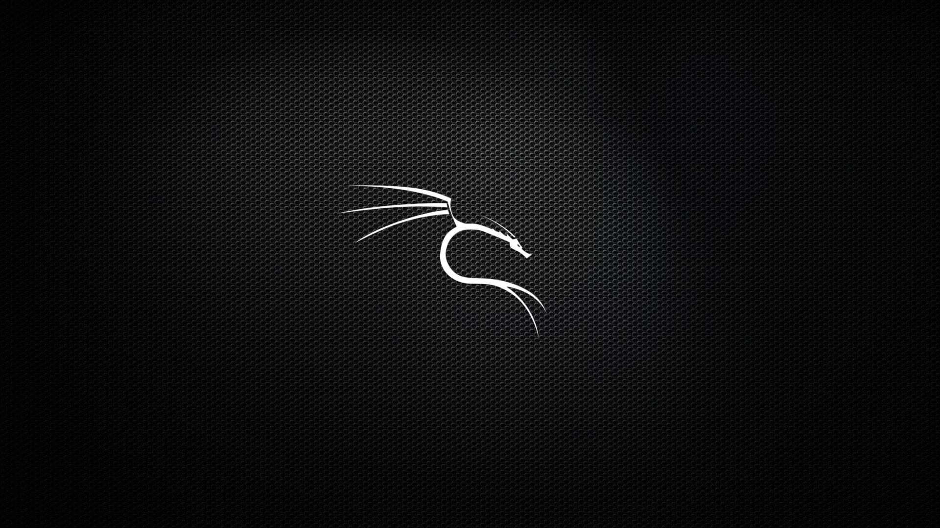Logo Kali Linux drago bianco, penetration test, 1920x1080 Full HD 1080p, Desktop
