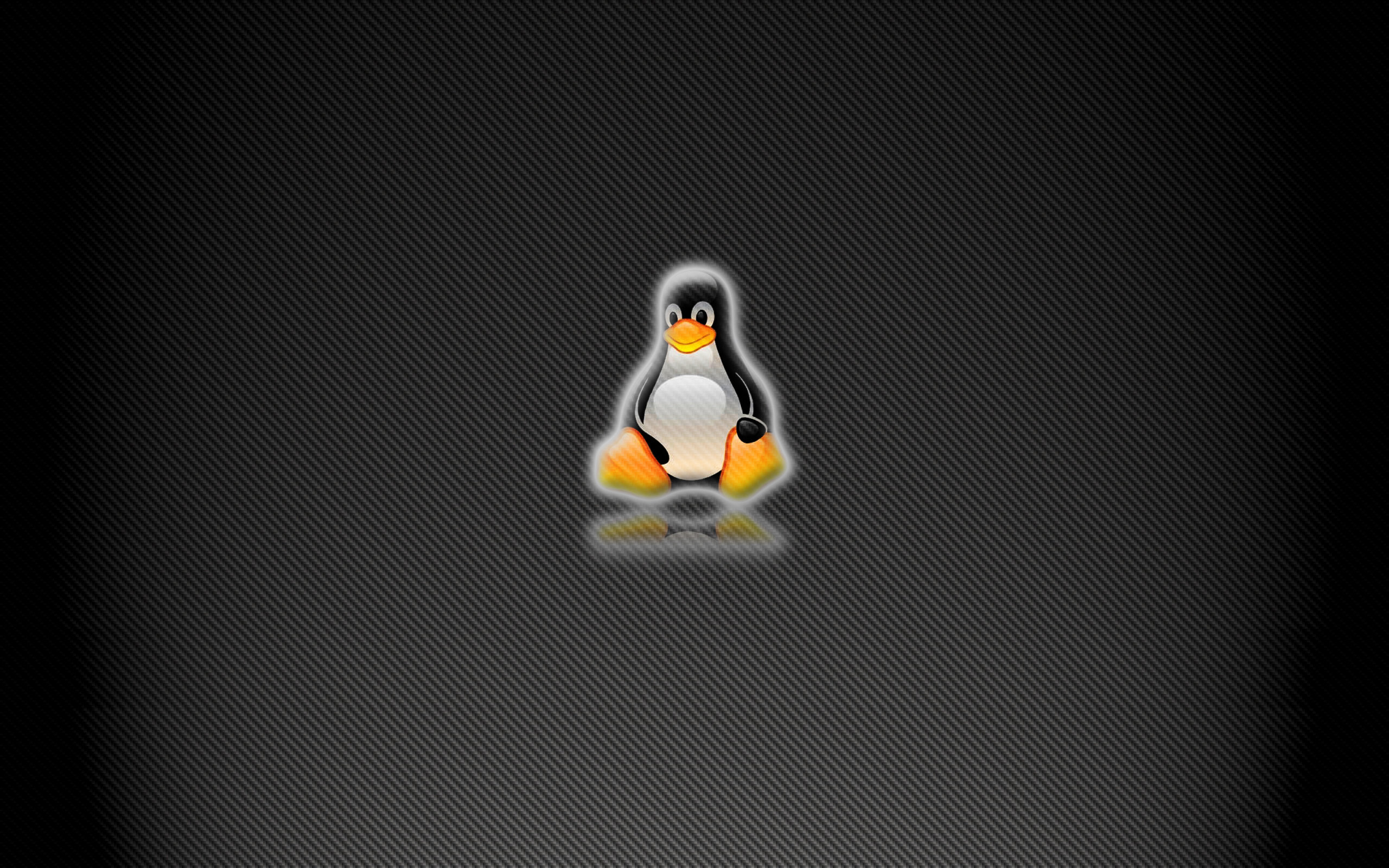 Logo Linux Mint grigio verde, Cinnamon, 2560x1600 2K+, PC