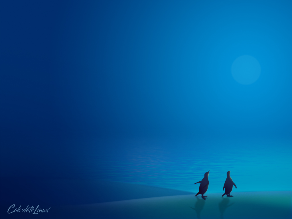 Pinguini che camminano al chiaro di luna, 1024x768 HD, PC Desktop