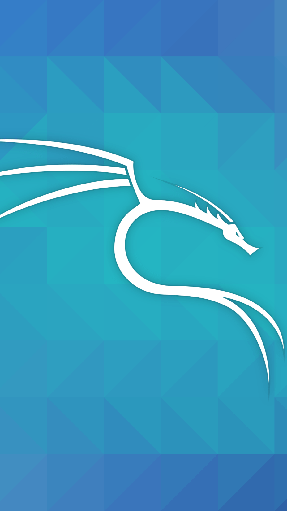 Drago Kali Linux blu, 928x1651 Verticale, Mobile