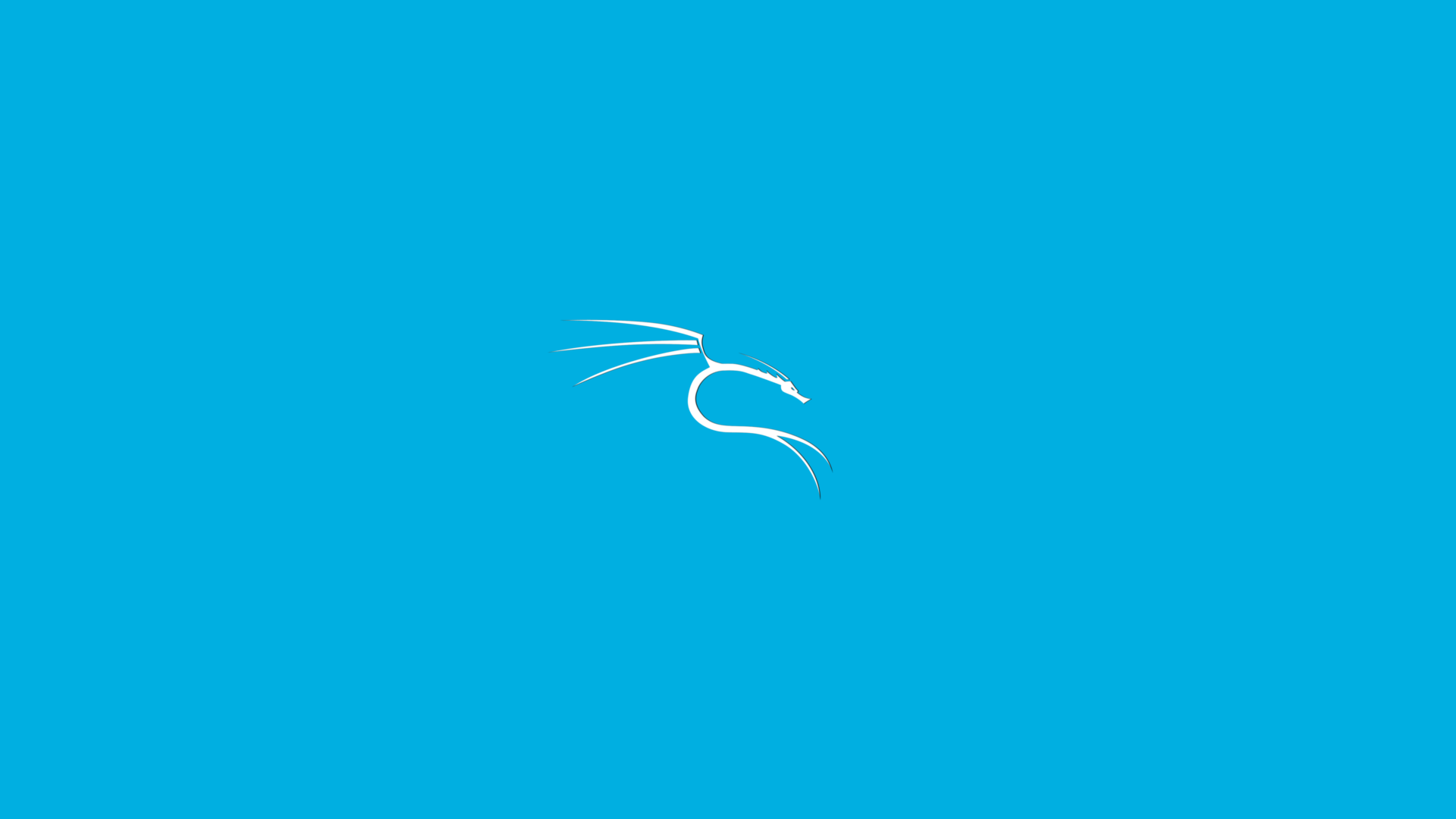 Logo Kali Linux sfondo azzurro, penetration test, 1920x1080 1080p, Laptop