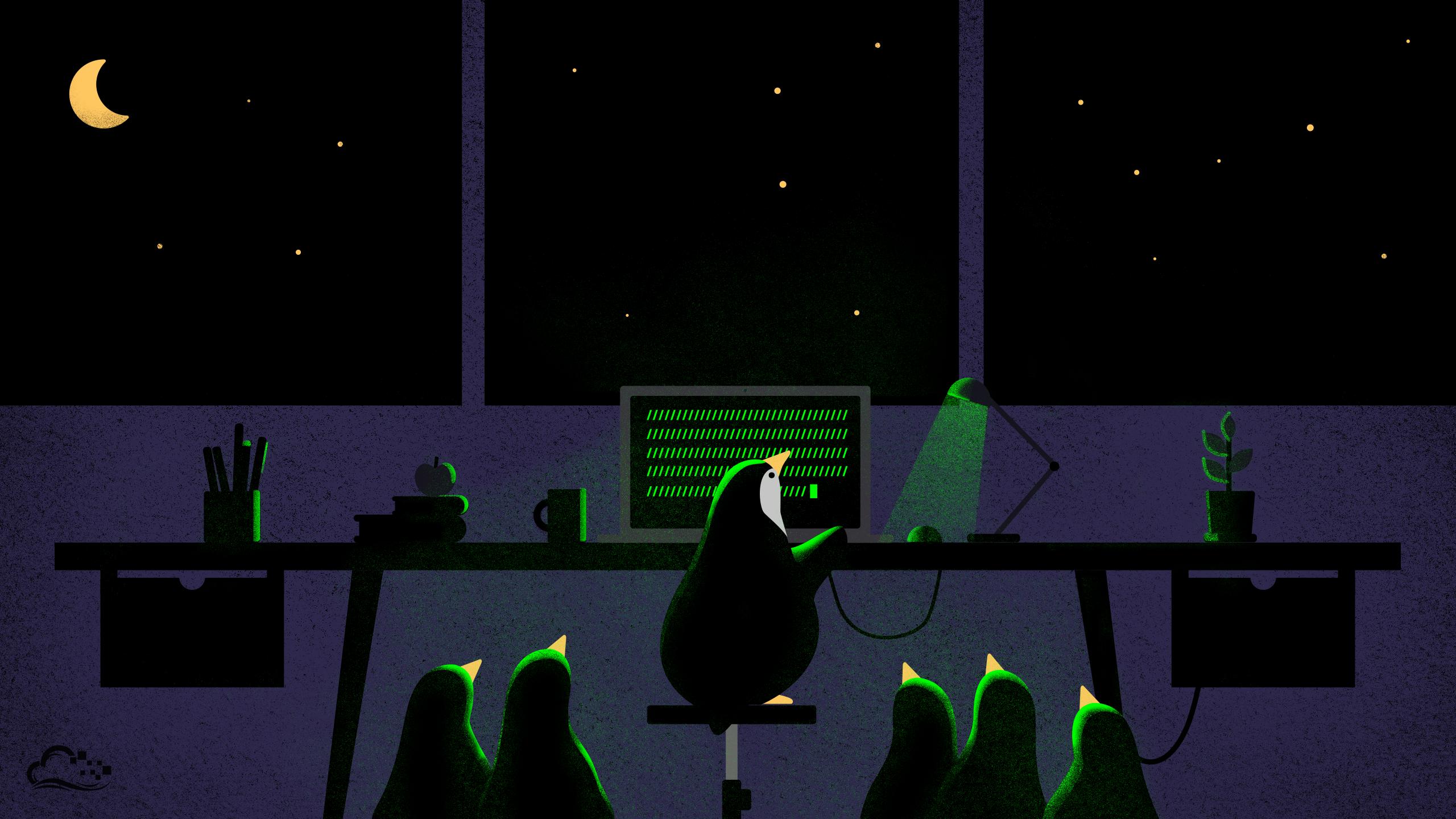 Pinguini al computer notte, 2560x1440 2K, Desktop