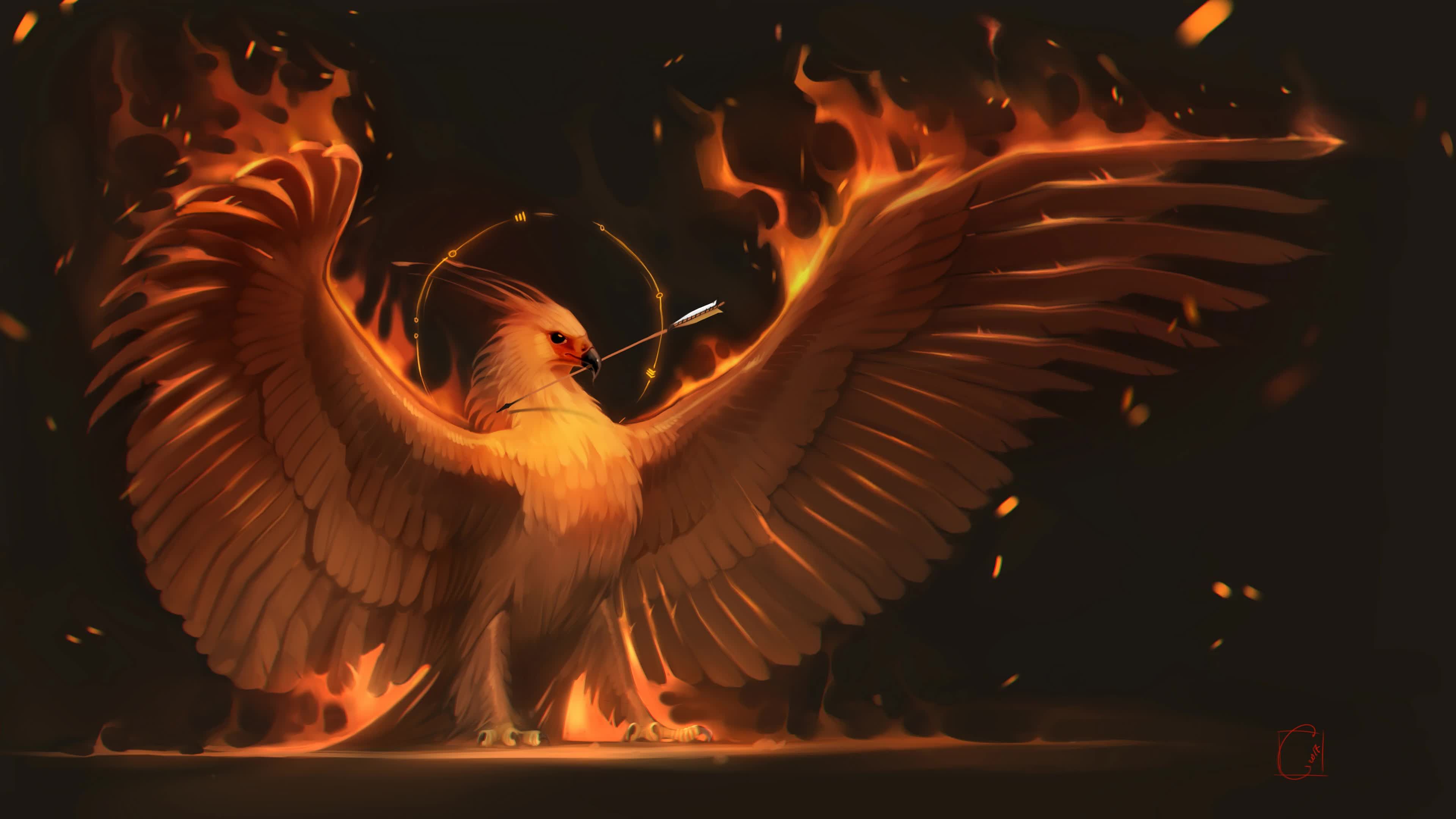 Fenice in fiamme, 3840x2160 4K, Desktop 4K