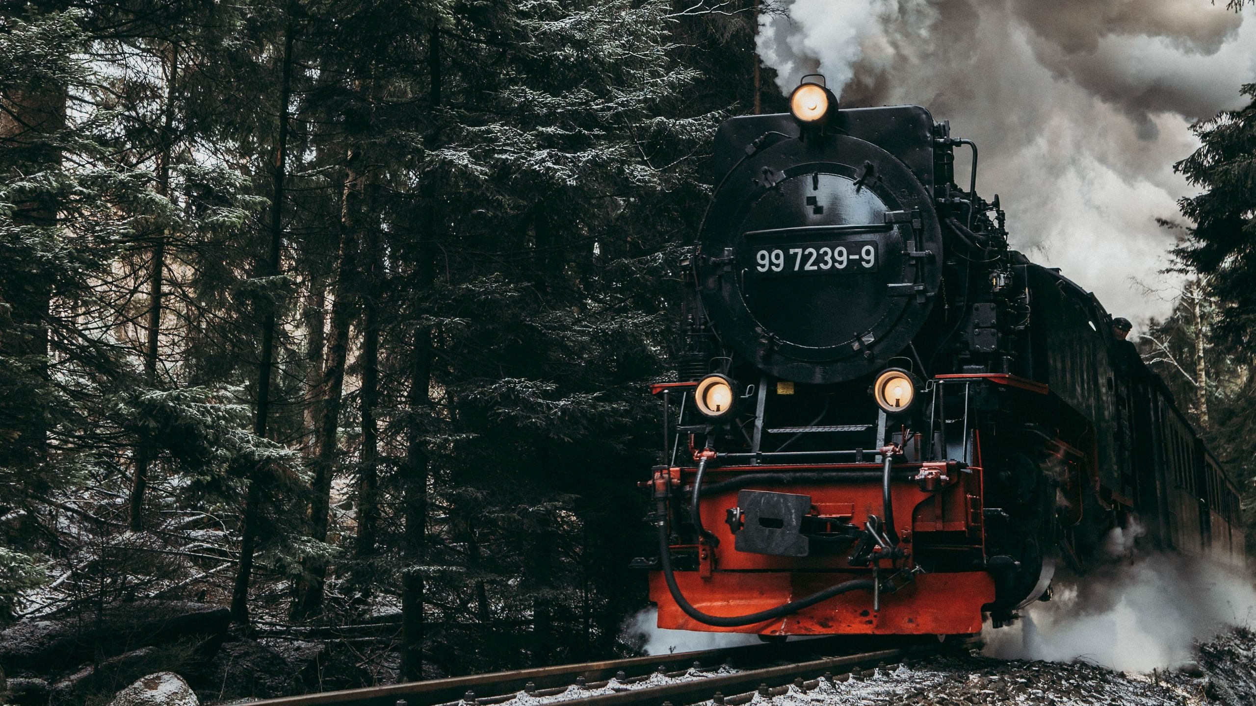 Locomotiva a vapore nera nella foresta, 2560x1440 2K QHD, Monitor Gaming