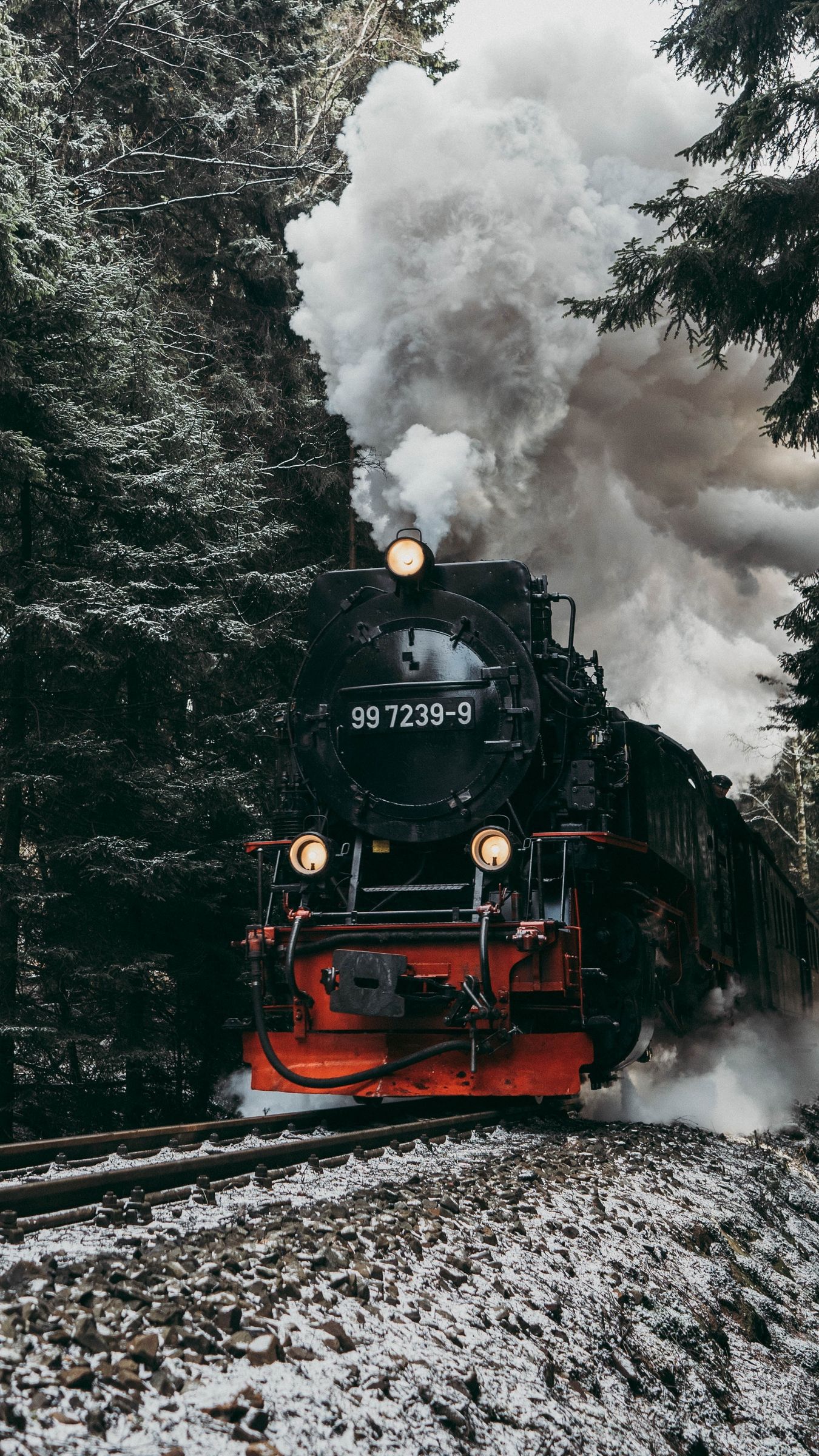 Locomotiva a vapore nella foresta, 1350x2400 Verticale, Mobile
