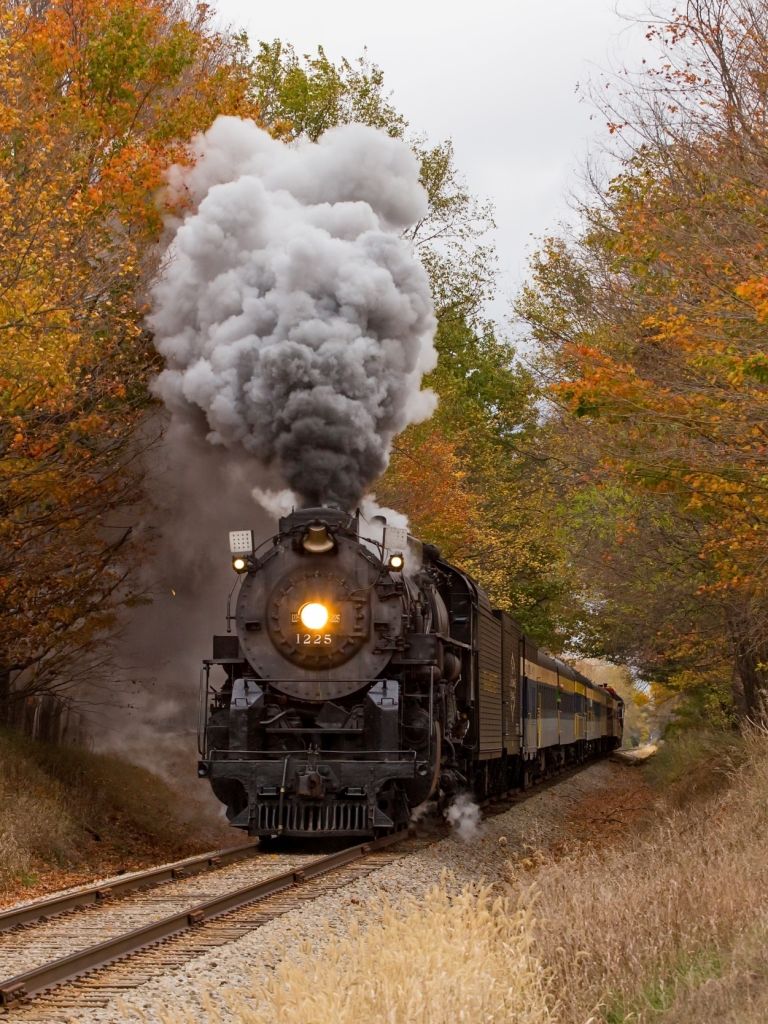 Locomotiva a vapore autunno, 768x1024 Full HD Verticale, Smartphone