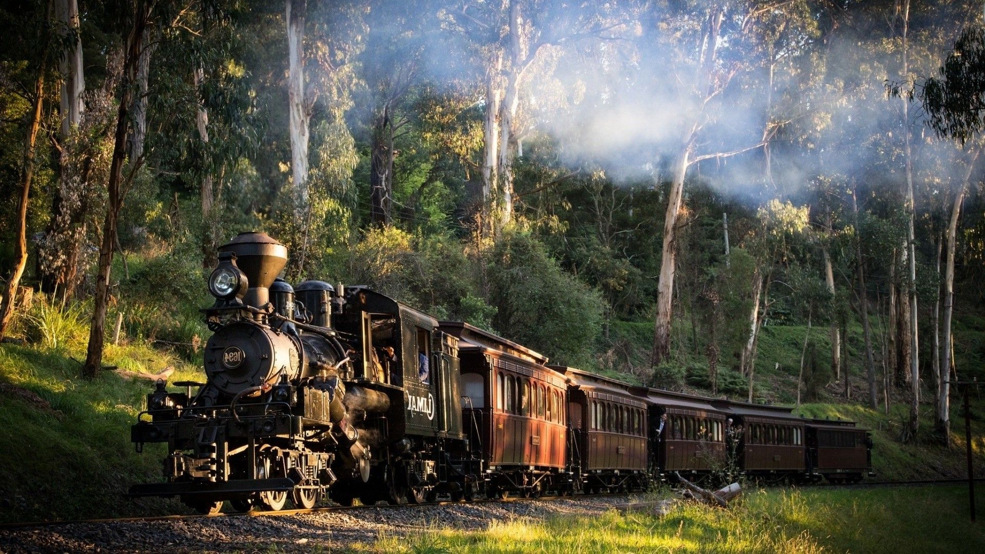 Locomotiva a vapore nella foresta, 1920x1080 Full HD, Laptop