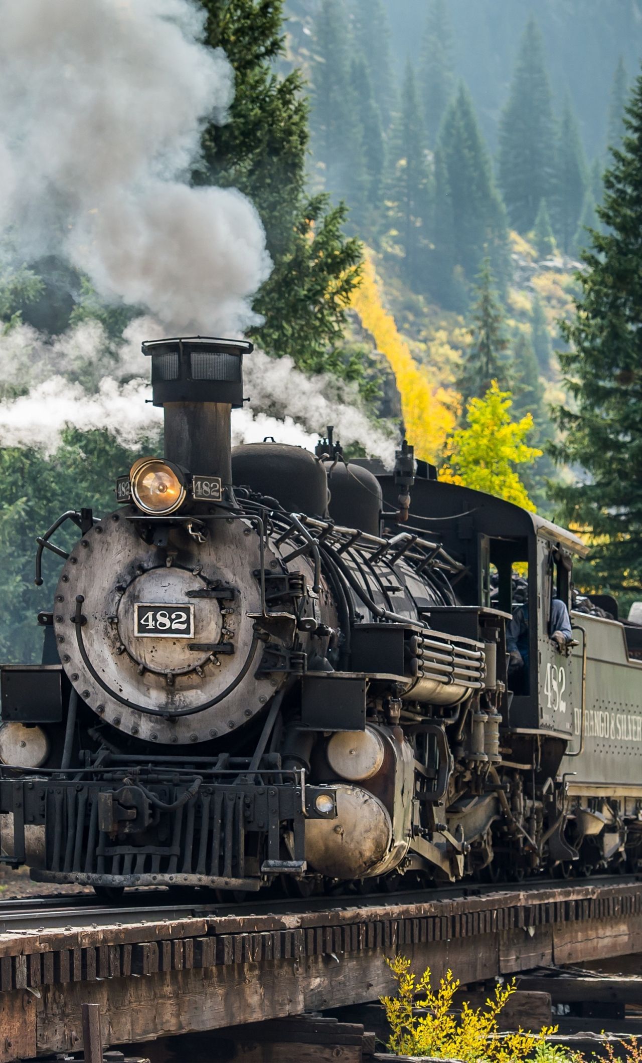 Locomotiva a vapore nella foresta, 1280x2120 Full HD Verticale, Smartphone
