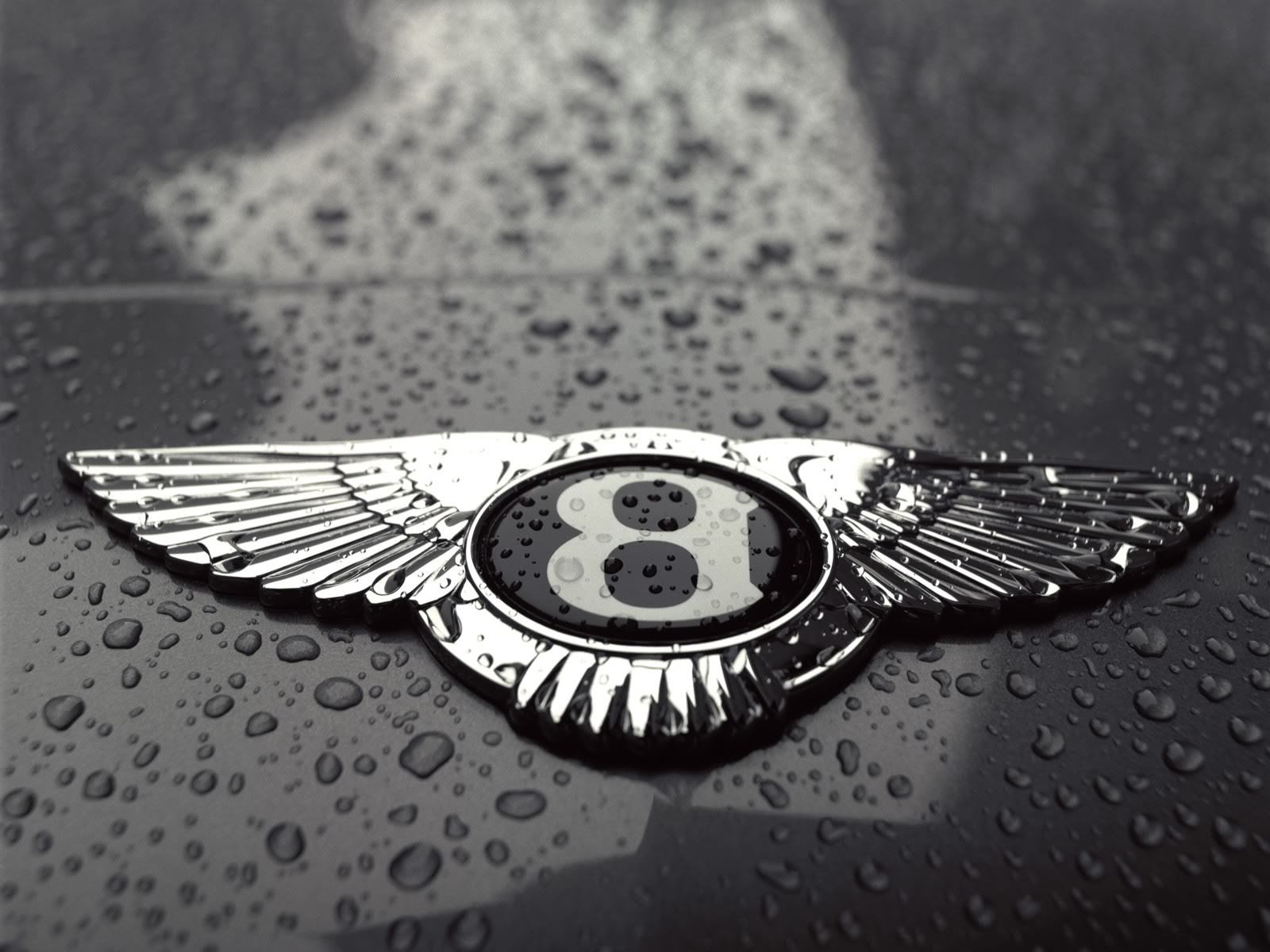 Logo Bentley con gocce d'acqua, 1600x1200 HD Ready, Desktop