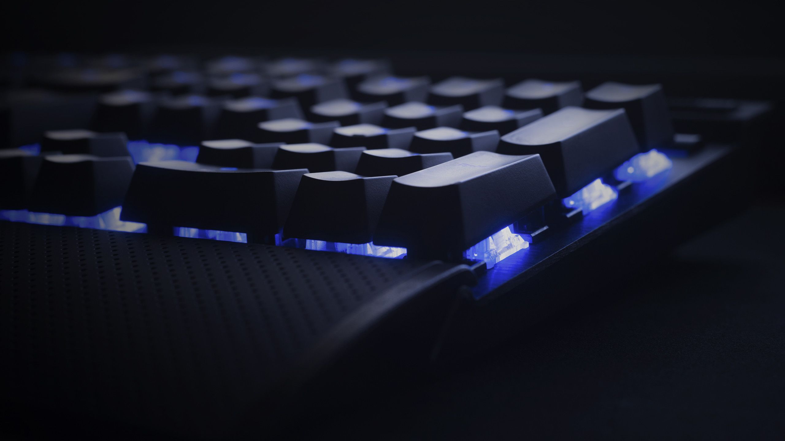 Logitech, 2560x1440 2K QHD, PC