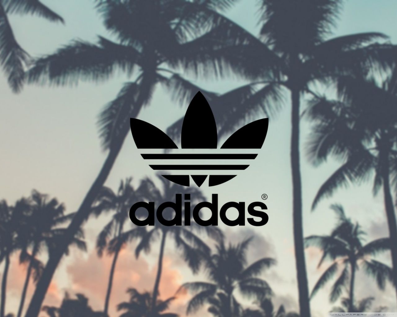 Logo Adidas con rose rosse, 1152x2048 Full HD Verticale, iPhone