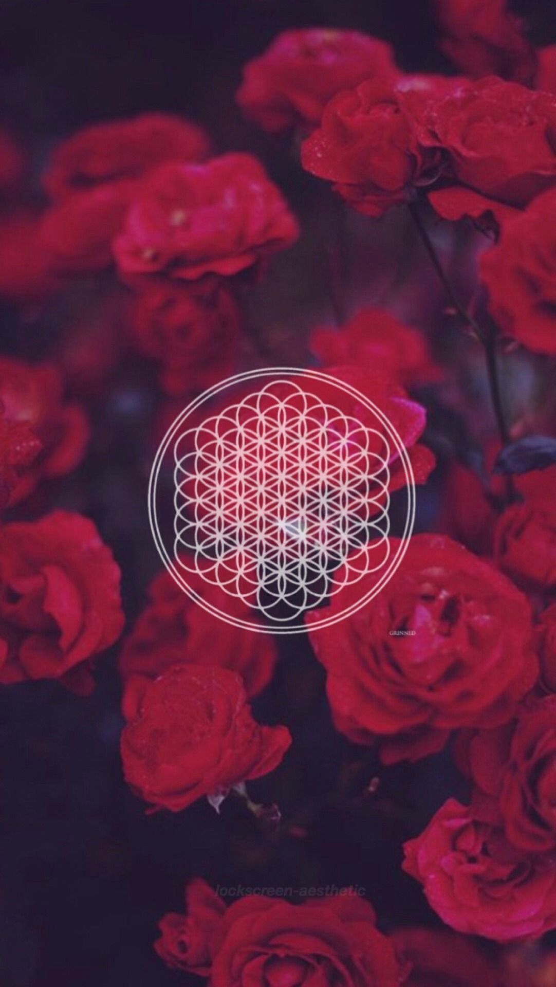 Logo Bring Me the Horizon rose rosse, 1082x1920 Full HD Verticale, iPhone