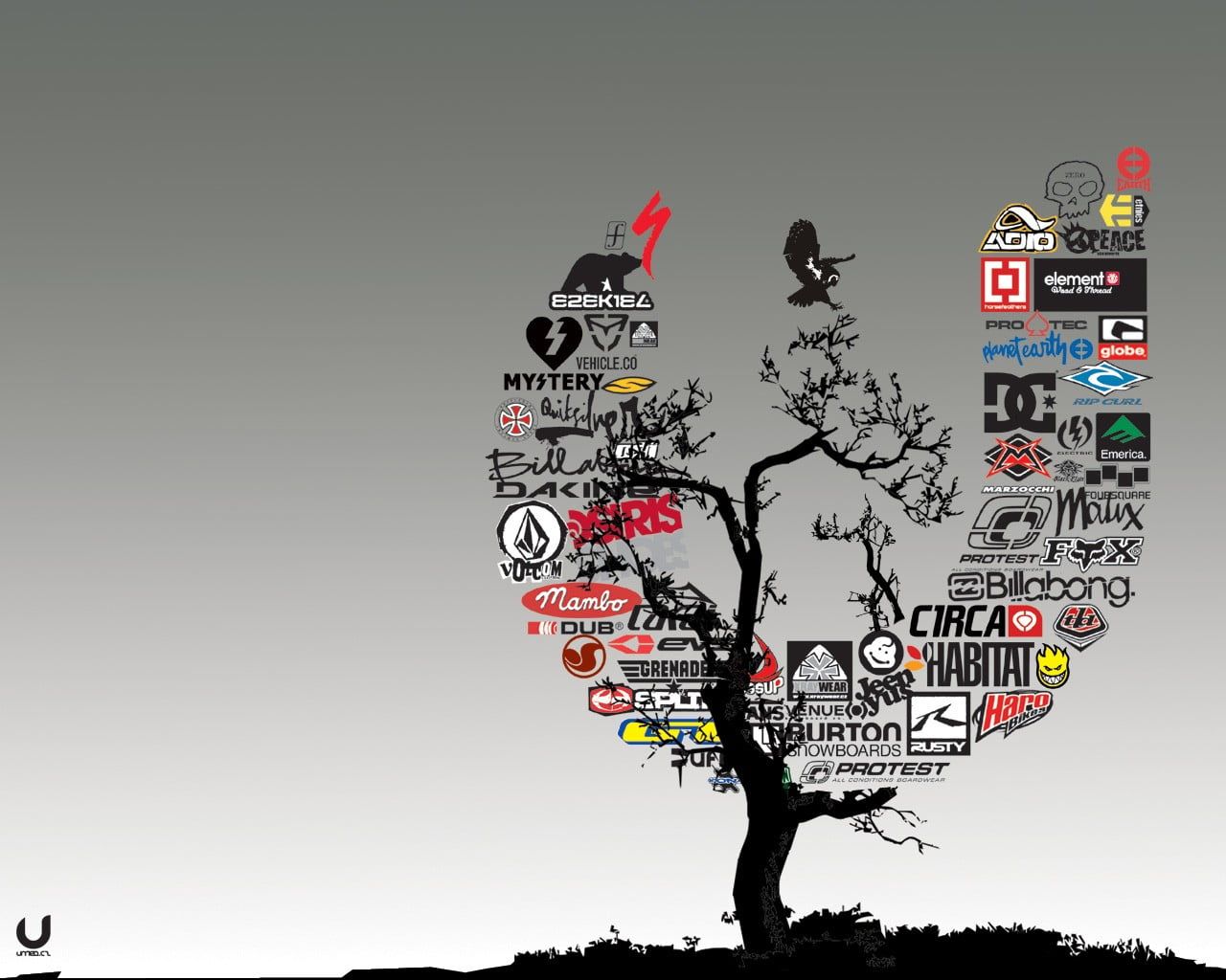 Albero con loghi skateboard, 1280x1024 HD, Desktop