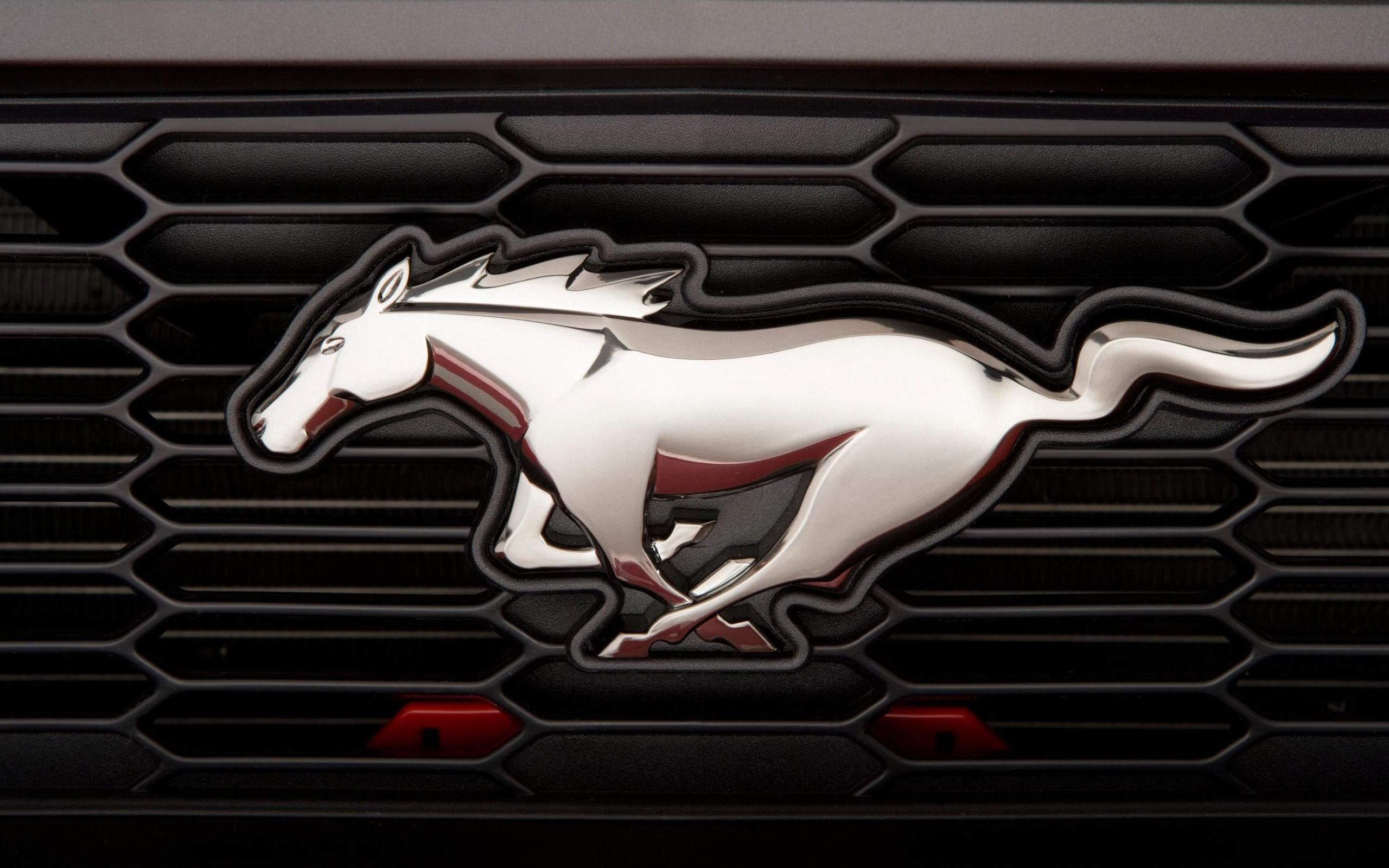 Logo Ford Mustang su griglia, 2560x1600 2K+, Desktop