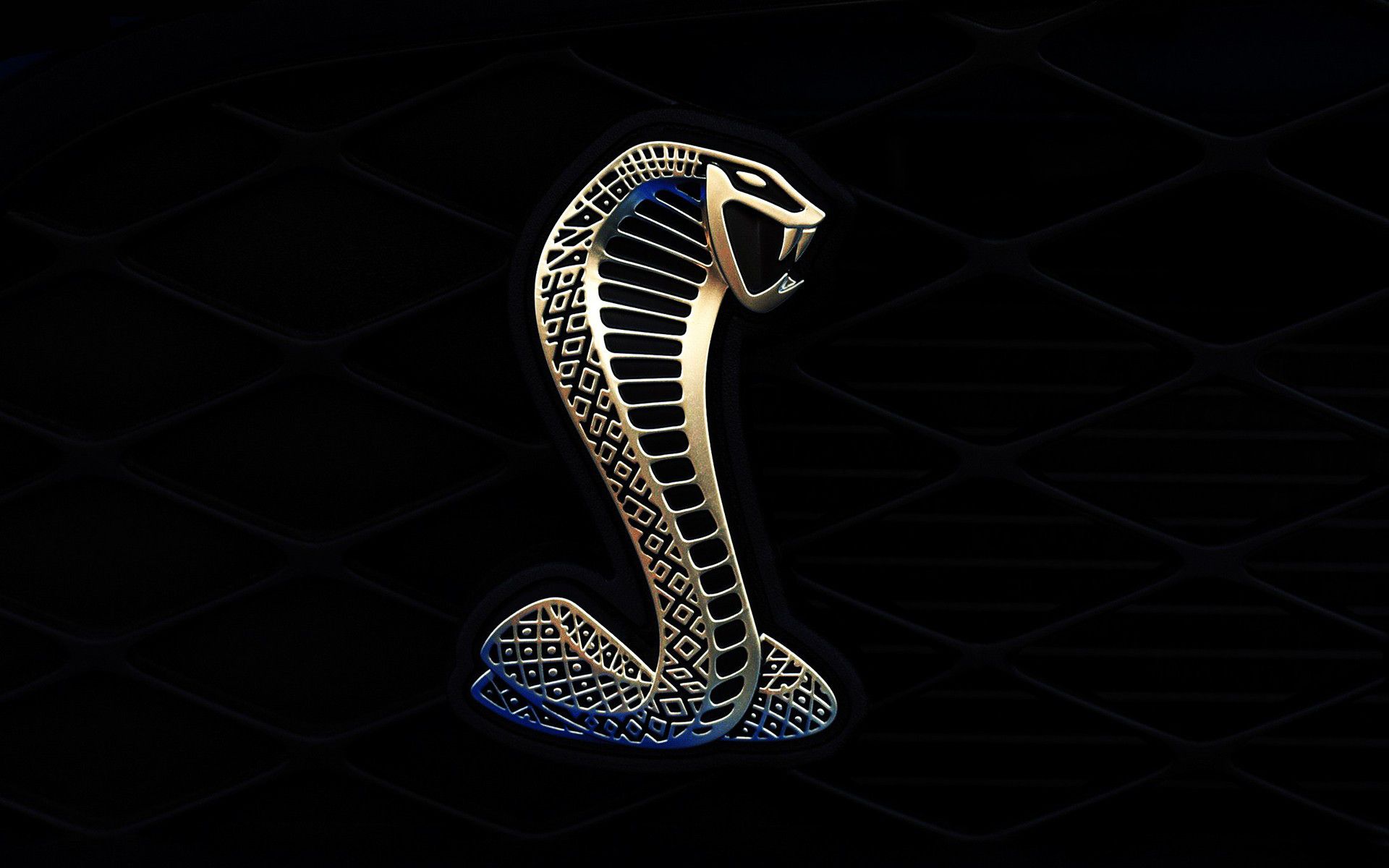 Logo Shelby Cobra dorato, 1920x1200 Full HD+, Desktop