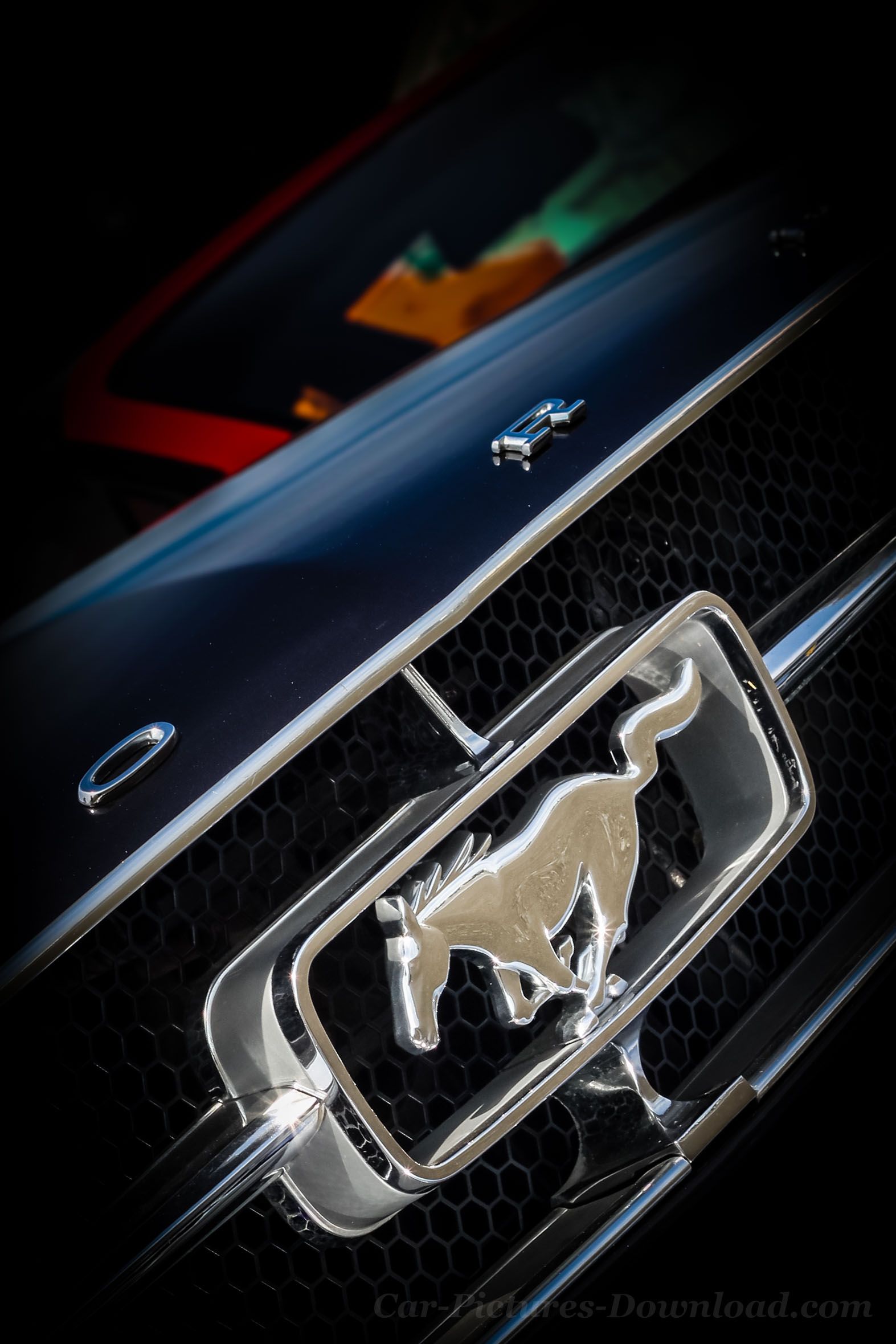 Logo Ford Mustang su griglia, 1573x2359 Verticale, Telefono