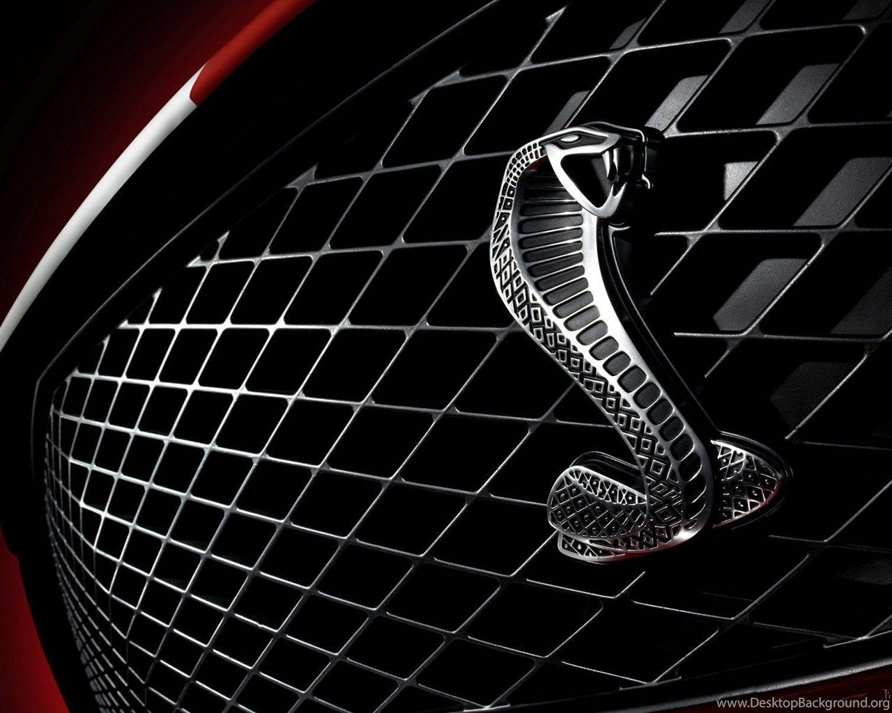 Logo Cobra Shelby griglia auto, 1280x1024 720p, Laptop