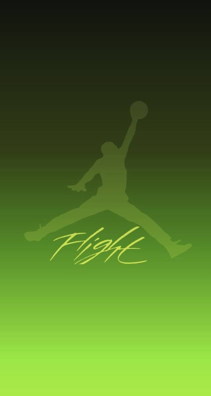 Logo Jordan Flight, sfondo galassia, 2560x1440 2K QHD, PC
