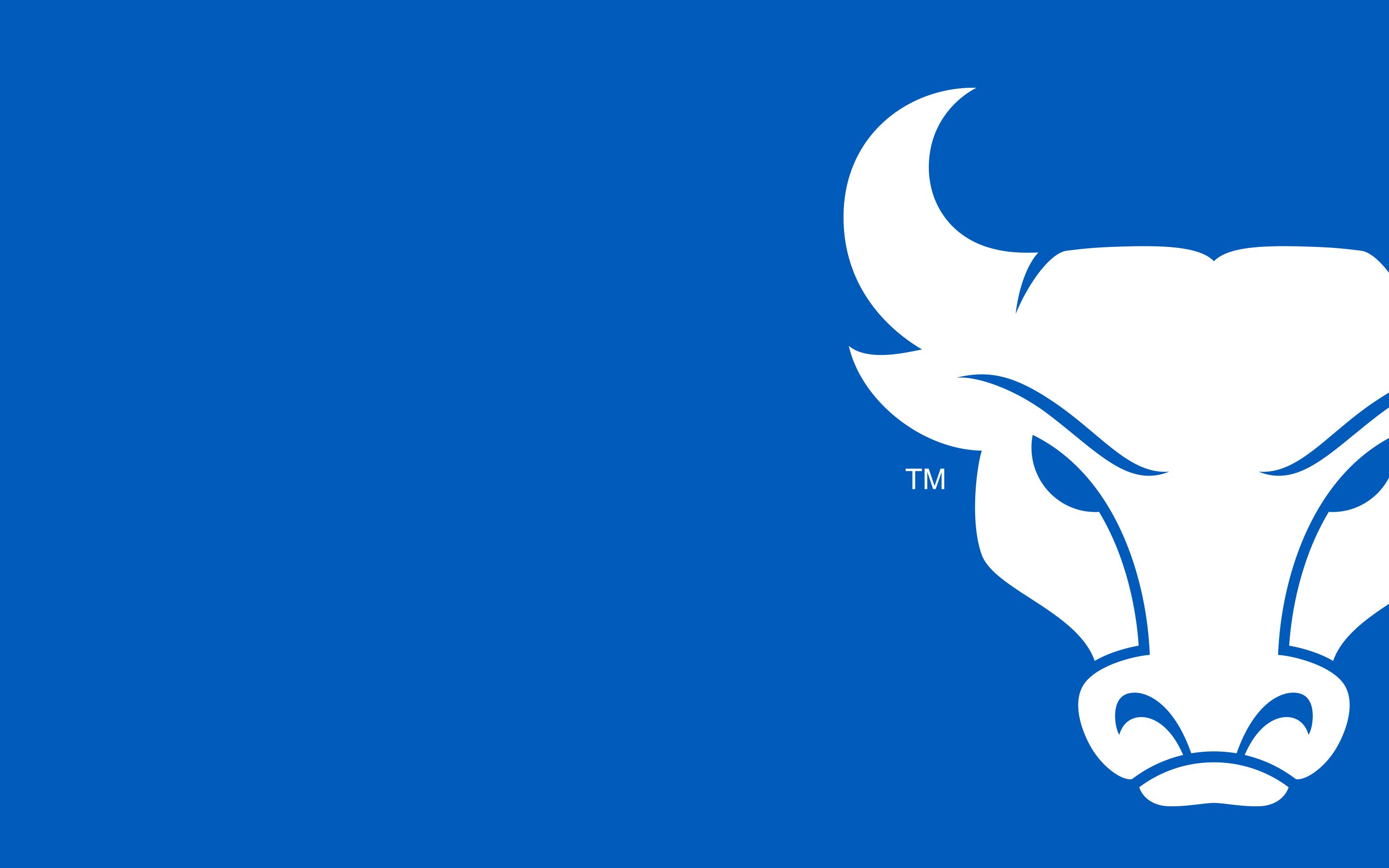 Logo toro University at Buffalo, 2880x1800 2K, Desktop