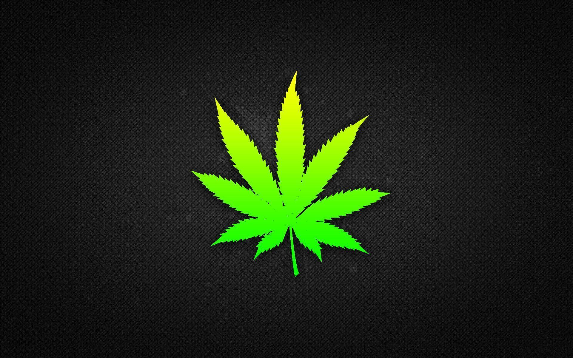 Foglia marijuana verde sfondo nero, 1920x1200 Full HD+ WUXGA, PC