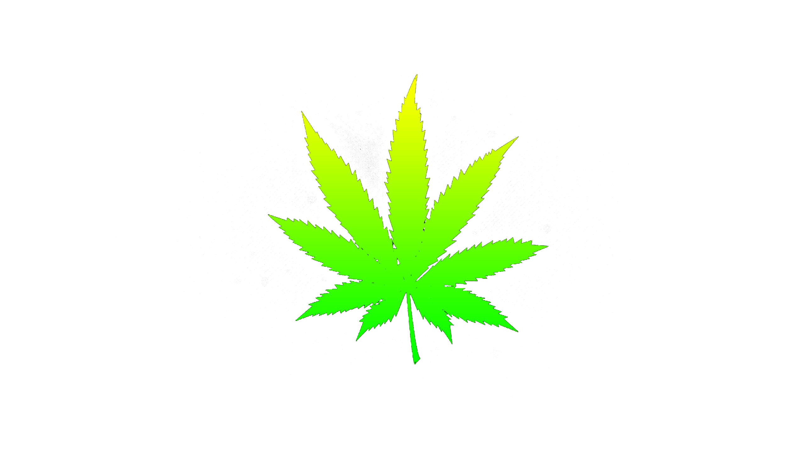 Foglia di marijuana verde, 1440x900 HD, Desktop