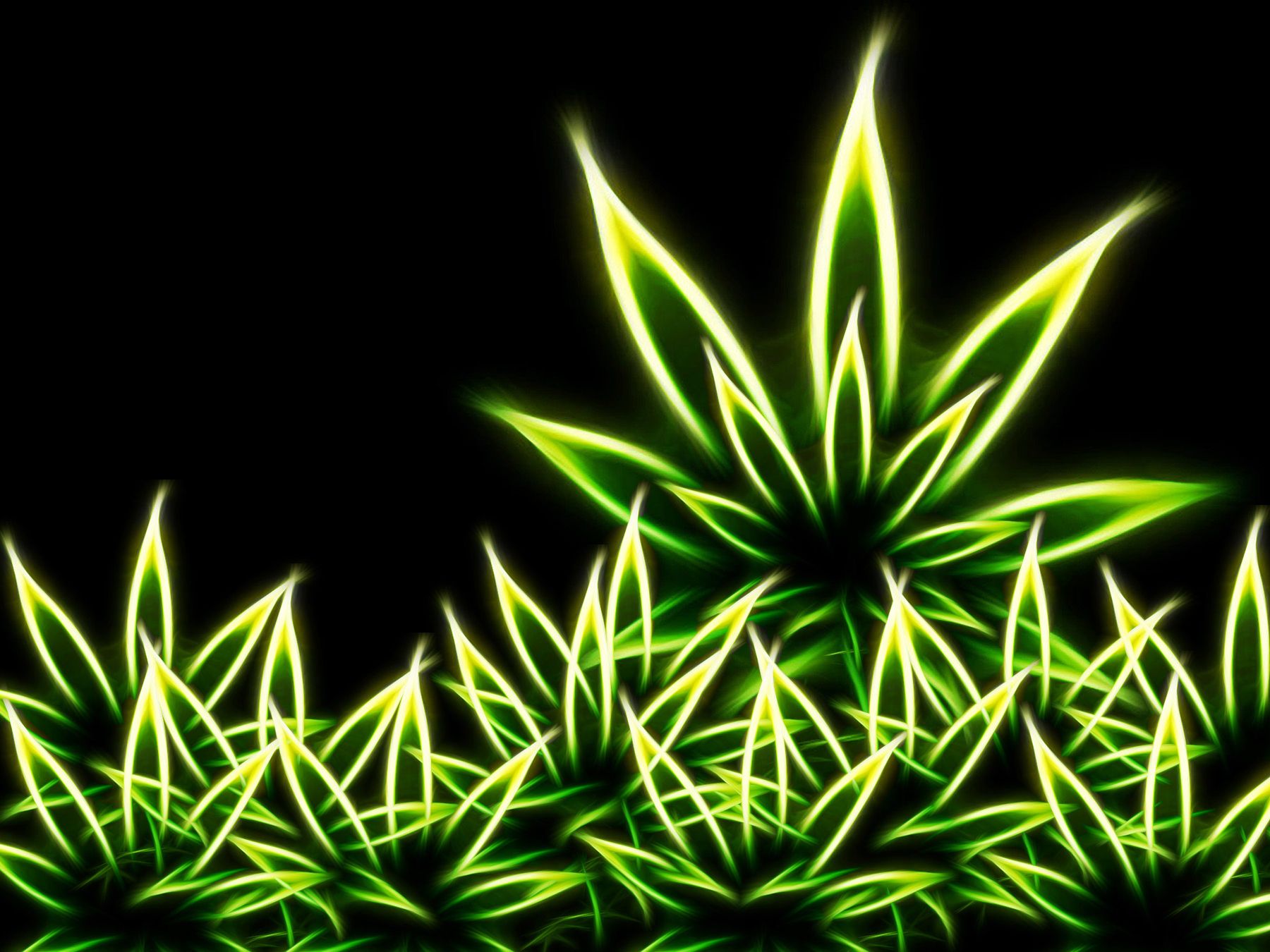 Foglie di marijuana neon verdi, 1800x1350 HD Ready, Laptop