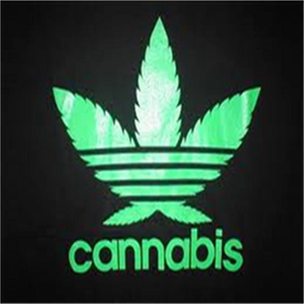 Logo Adidas foglia cannabis verde, 1024x1024 HD, PC Desktop