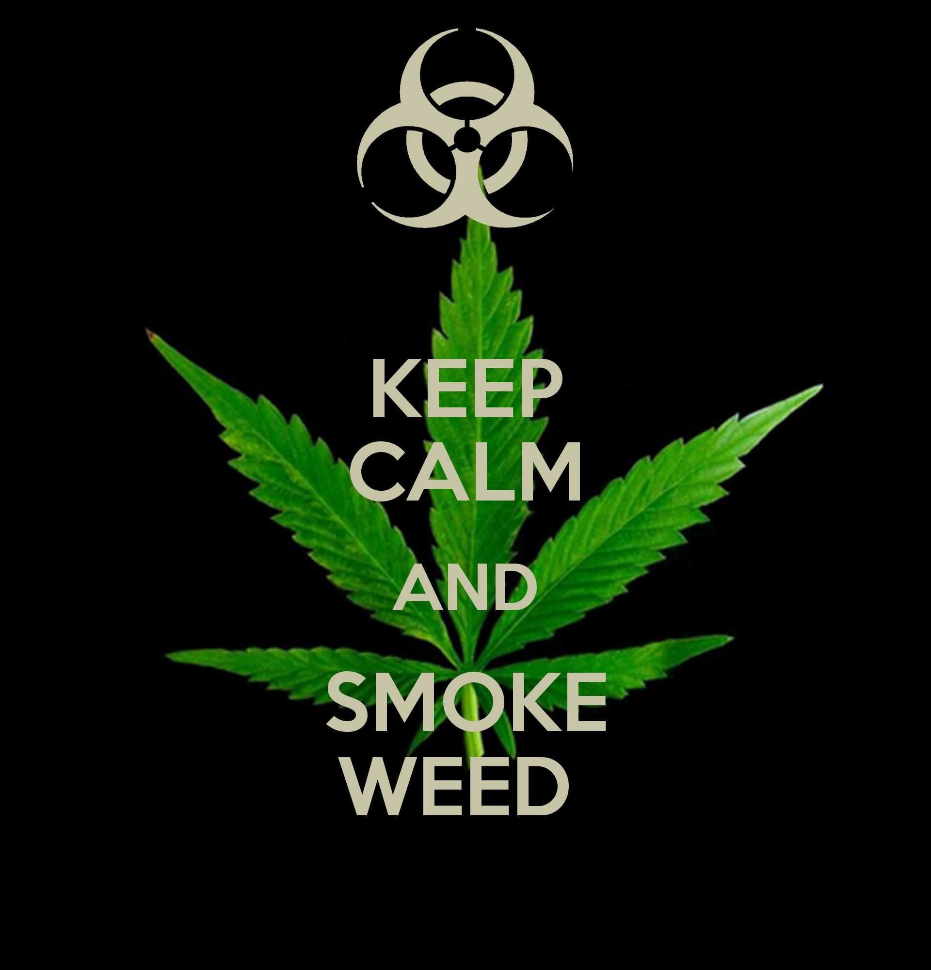 Logo graffiti Weed colorato, 1920x1080 1080p, Desktop