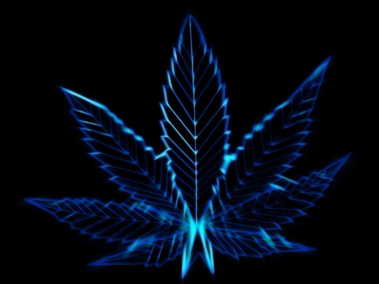 Foglia marijuana verde neon, 1440x900 HD, Desktop
