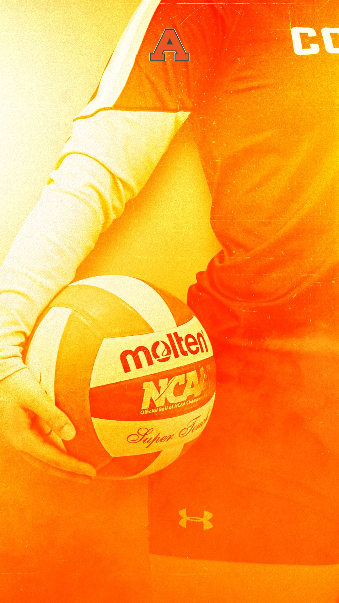 Logo pallavolo dorato glitter, 750x1334 Full HD Verticale, Smartphone