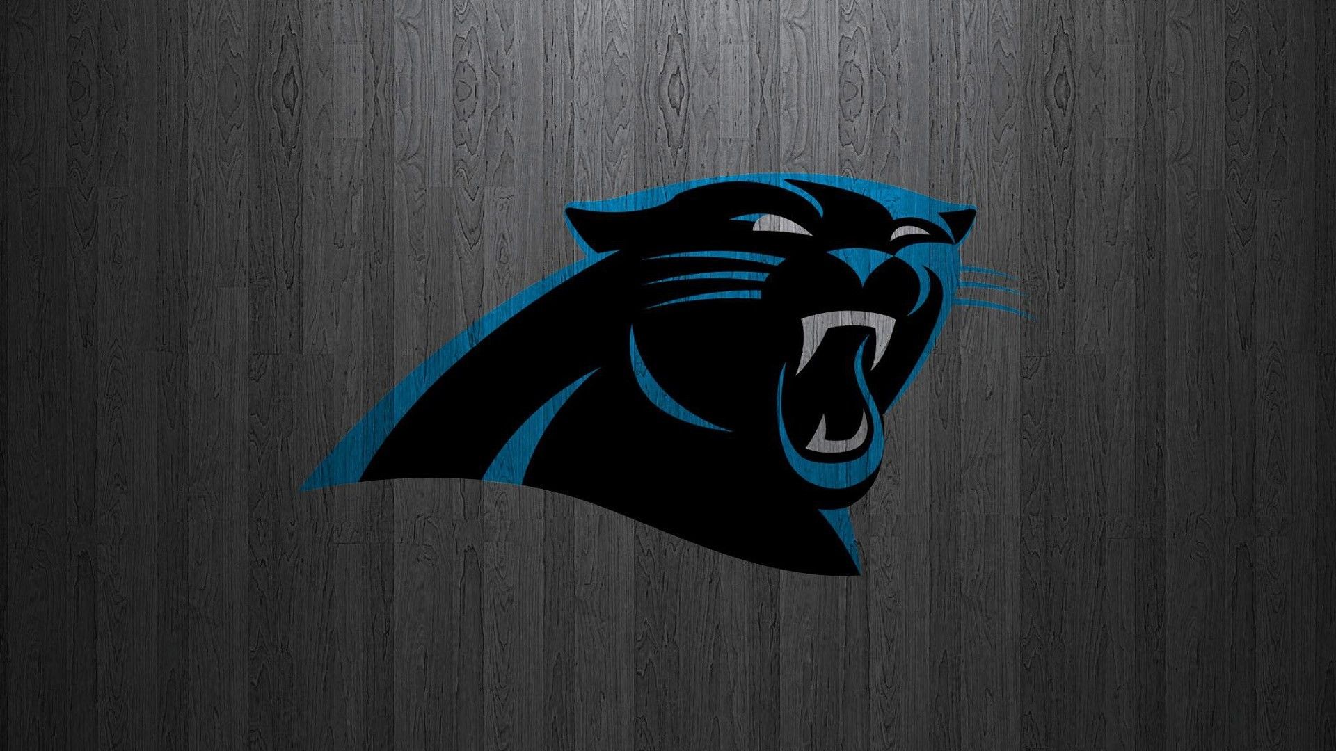 Logo Carolina Panthers pantera, 1920x1080 Full HD, Laptop
