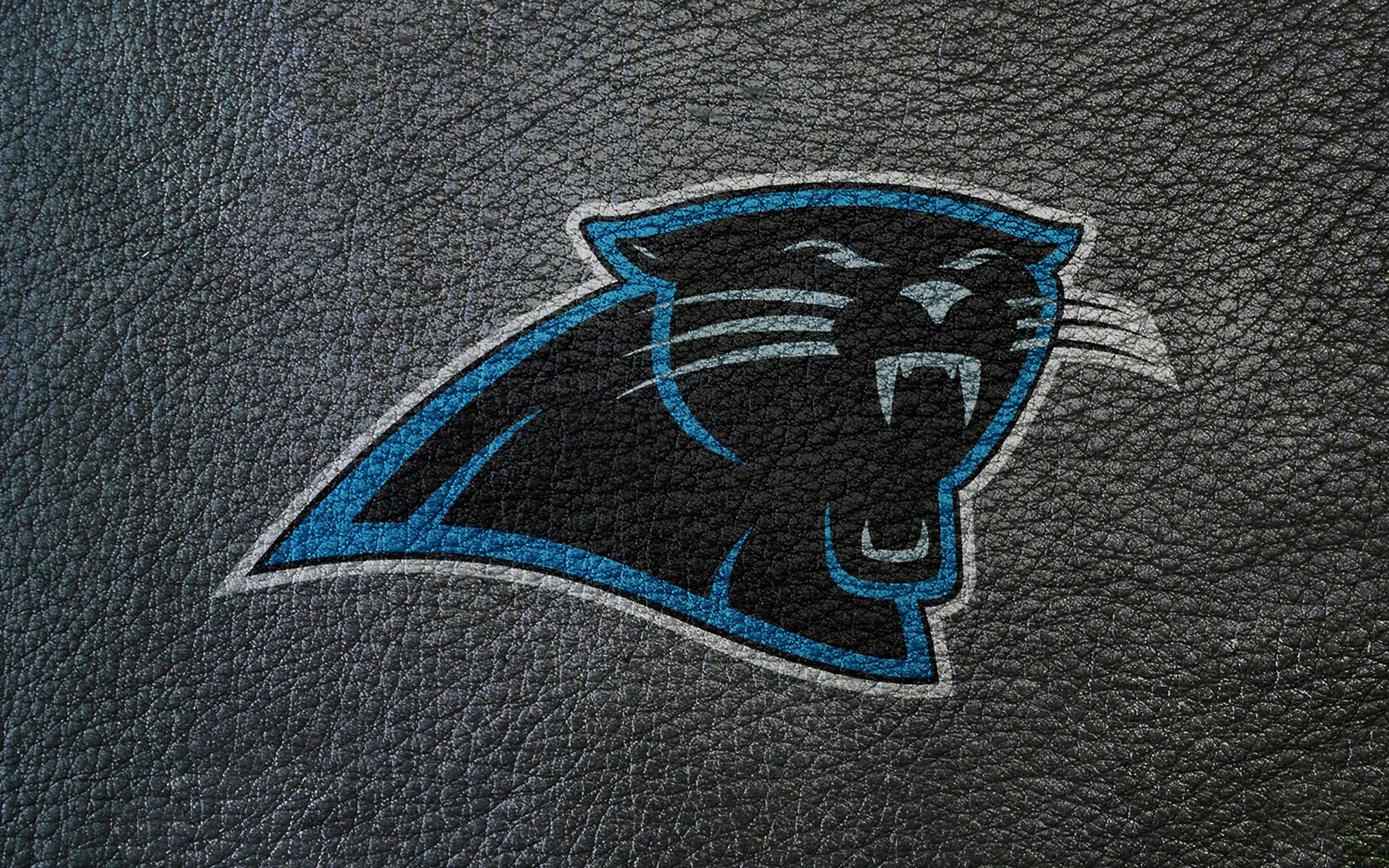 Logo Carolina Panthers su pelle, 2560x1600 2K+, PC
