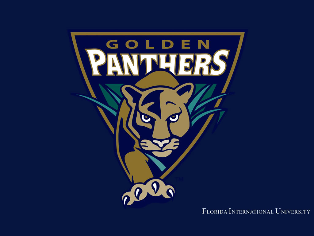 Logo Carolina Panthers, 2560x1440 QHD, Laptop